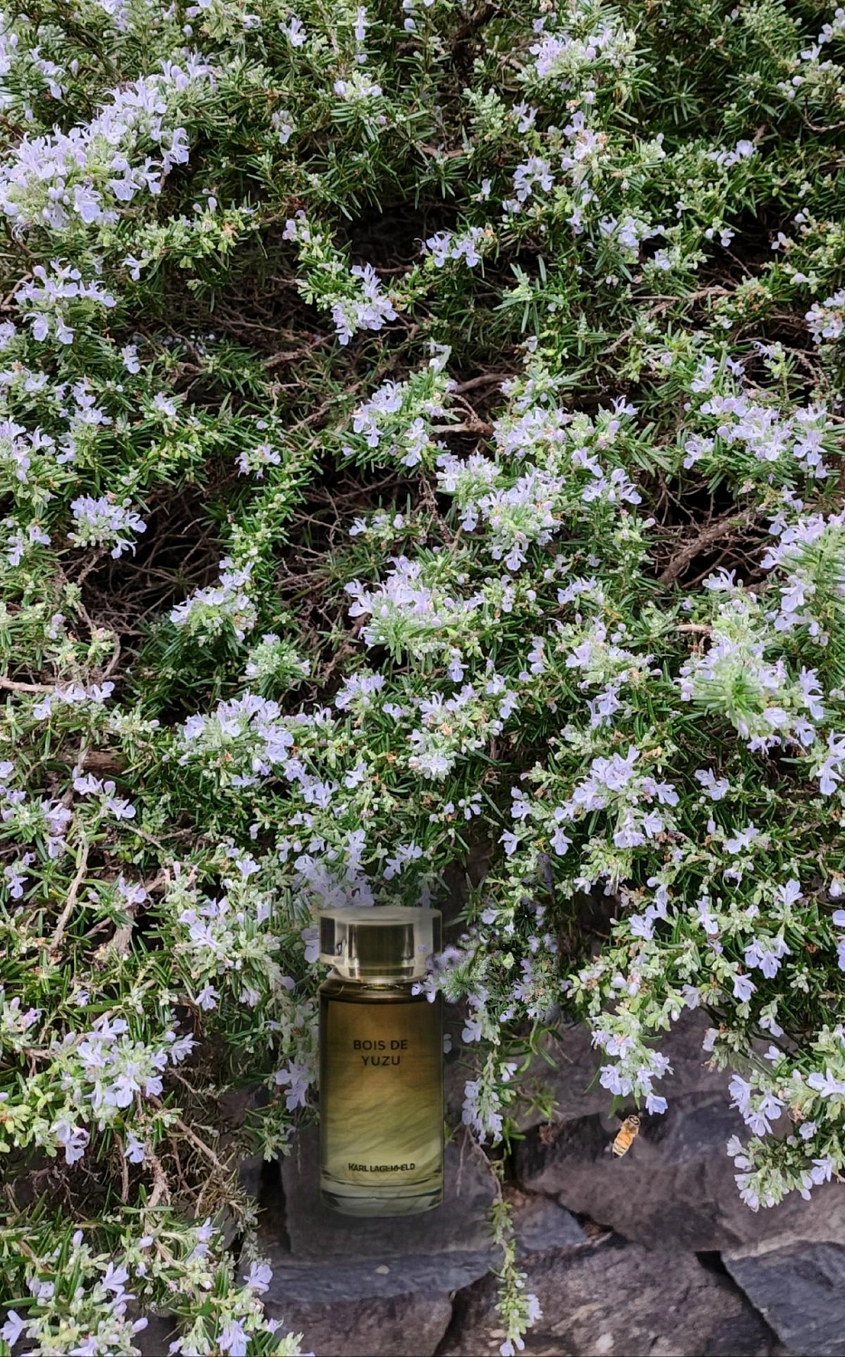 Karl Lagerfeld Bois de Yuzu