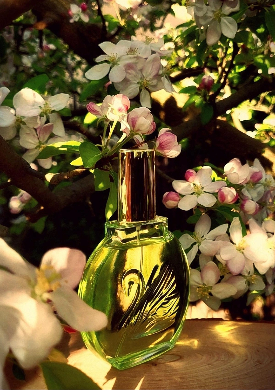 Gloria Vanderbilt Jardin a New York