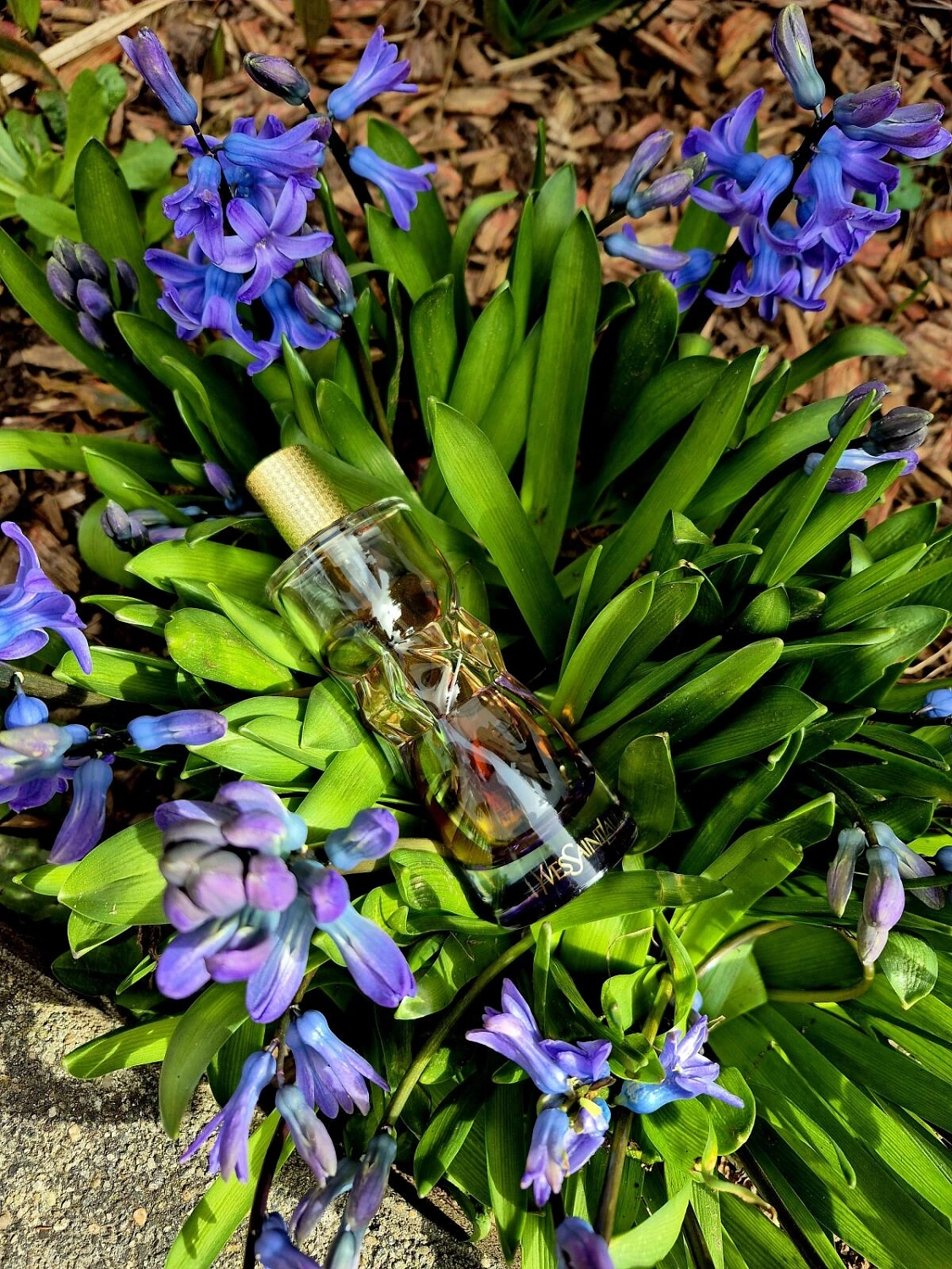 Yves Saint Laurent Manifesto l'Elixir