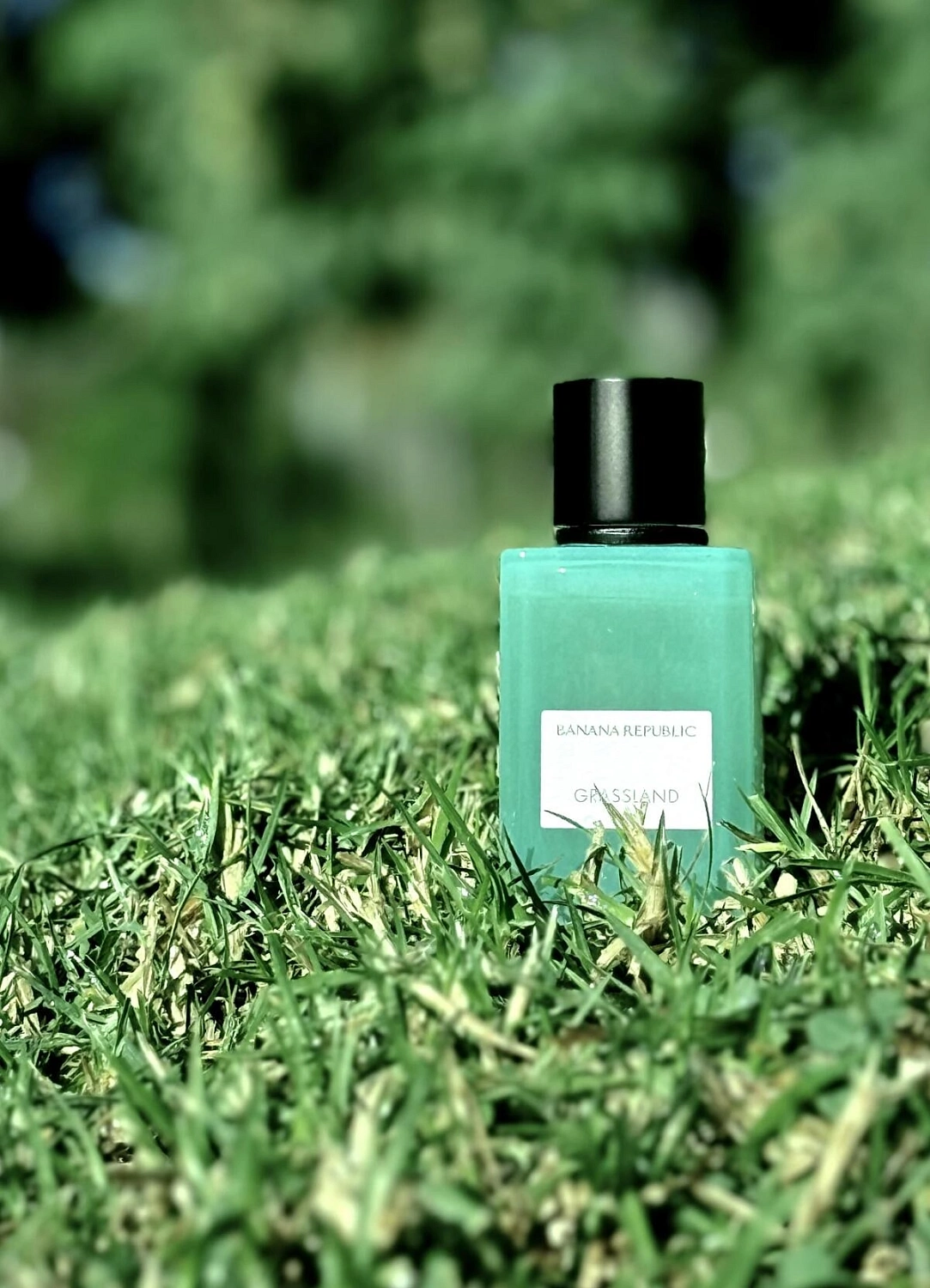 Banana Republic Grassland