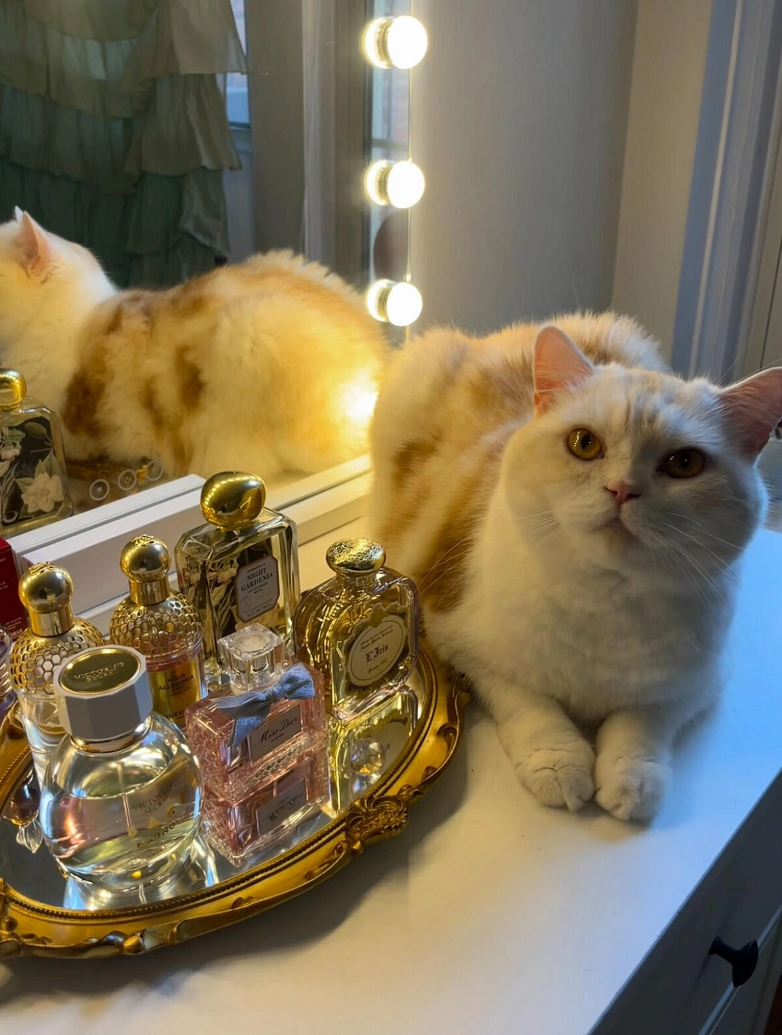 Guerlain Aqua Allegoria Florabloom Forte Guerlain Aqua Allegoria Florabloom Forte