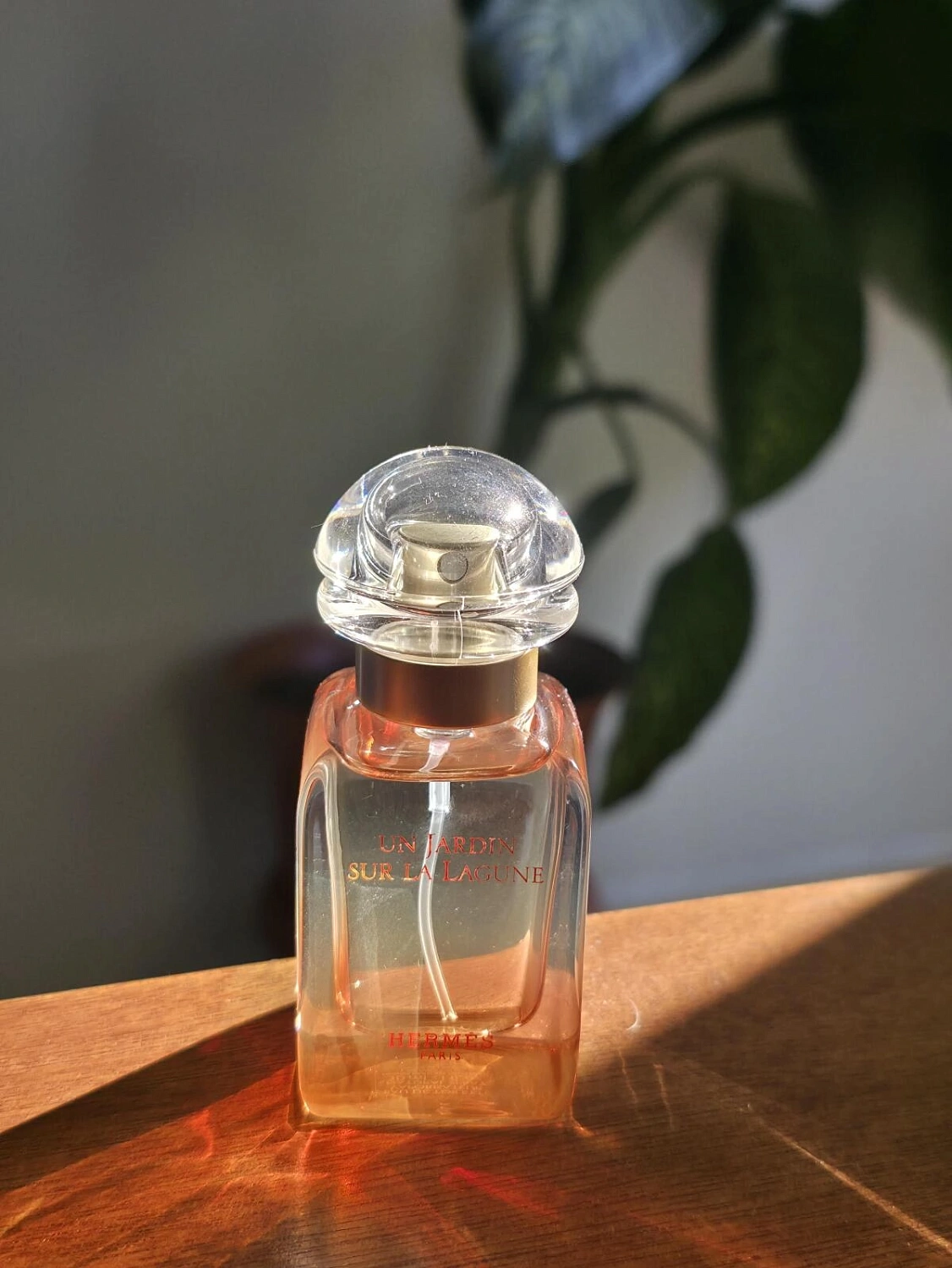 Hermès Un Jardin Sur La Lagune