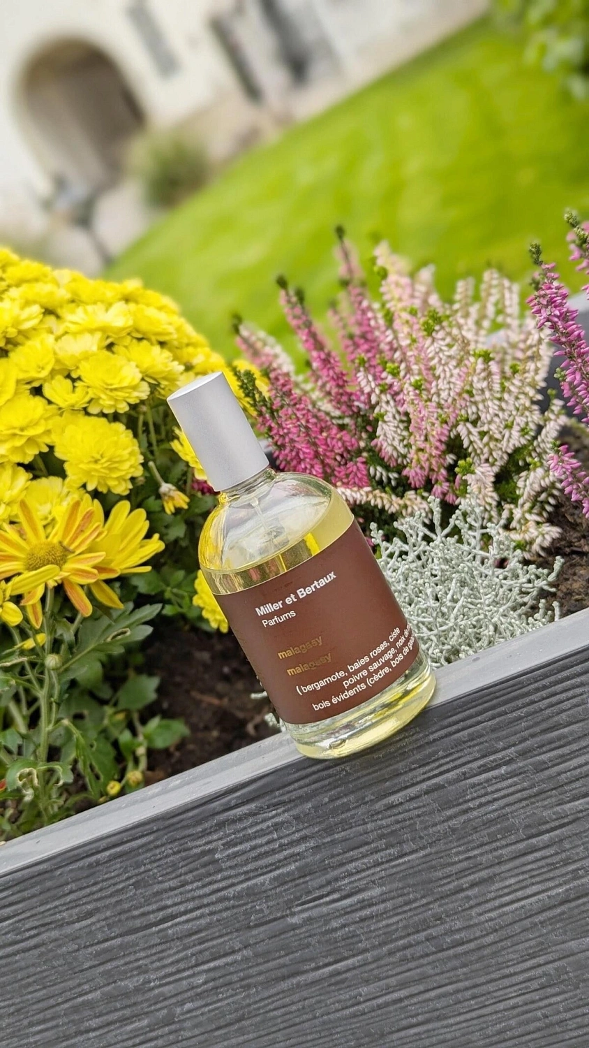 Miller et Bertaux Malagasy