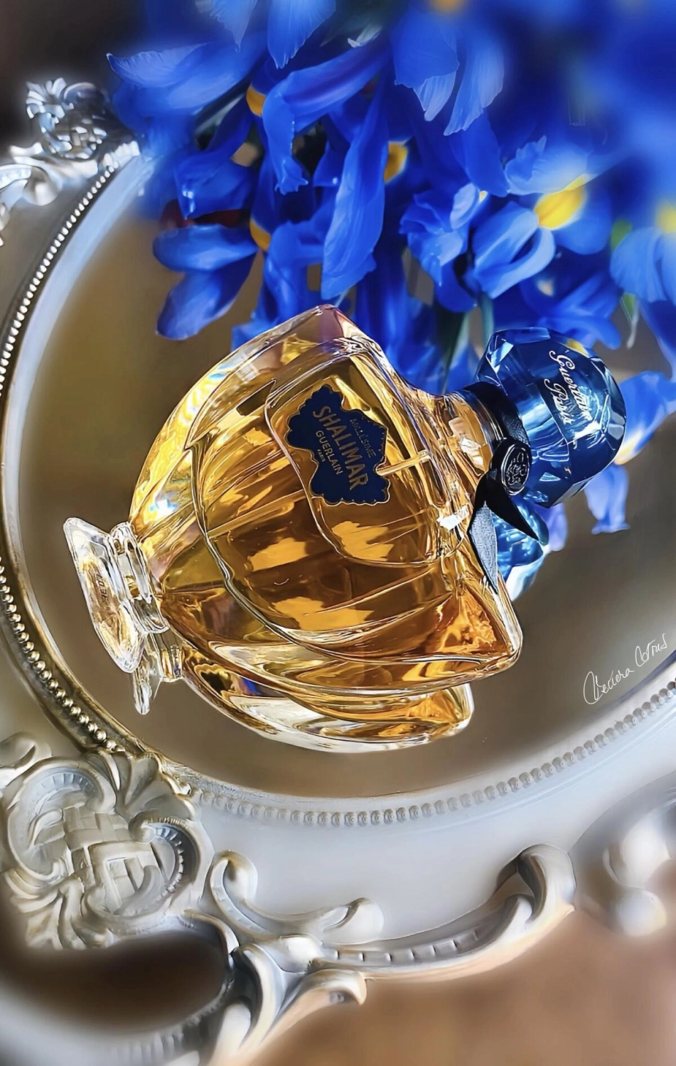 Guerlain Shalimar Millesime Iris Guerlain Shalimar Millesime Iris