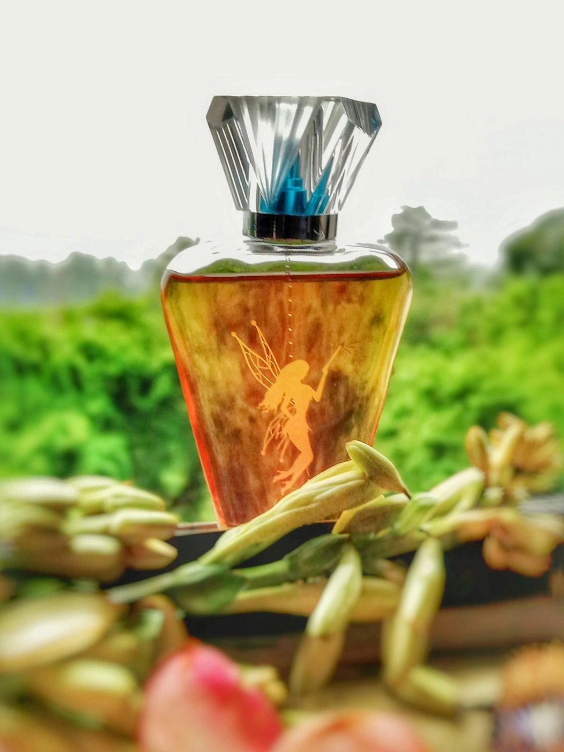 Paris Hilton Fairy Dust