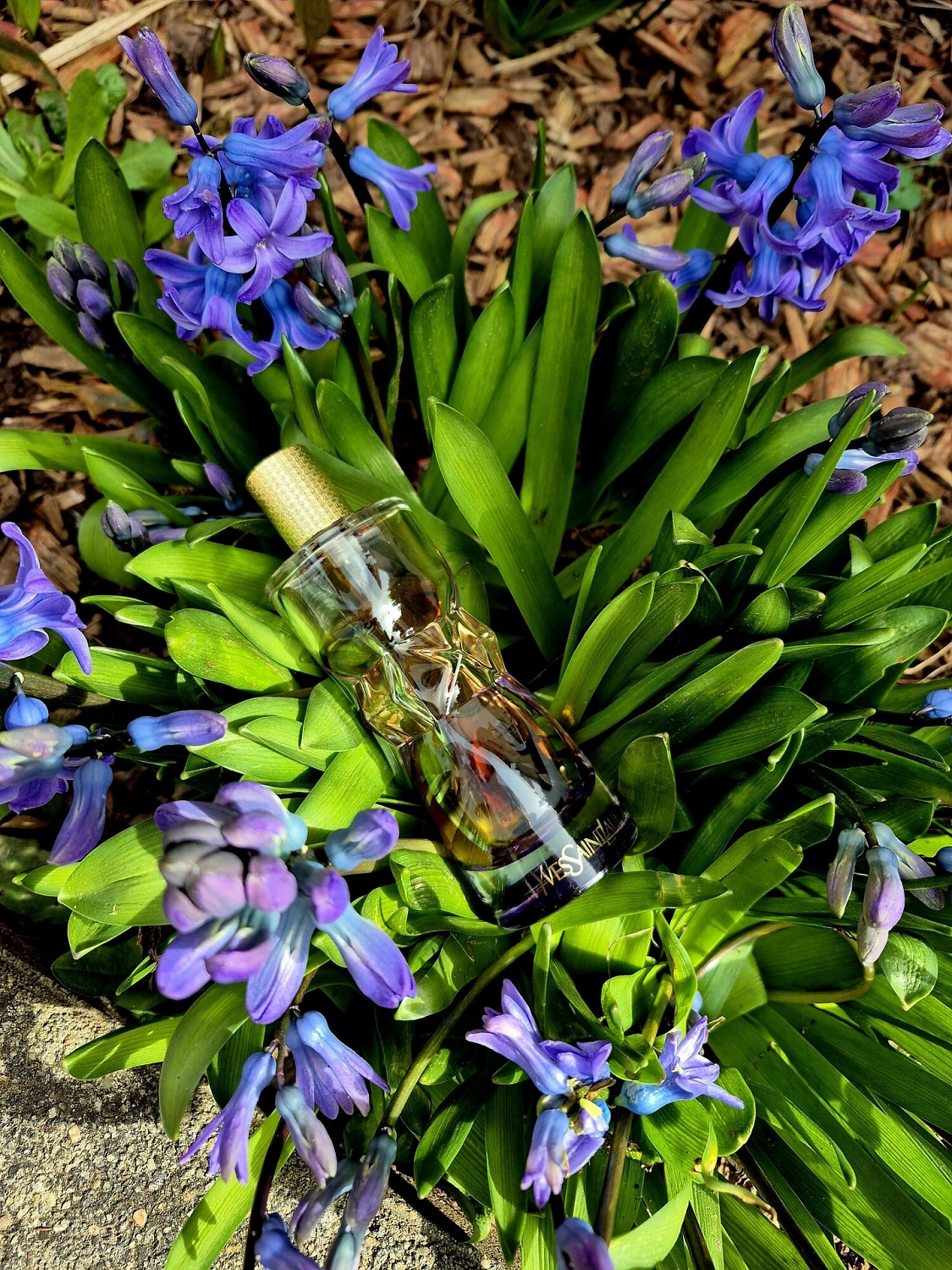 Yves Saint Laurent Manifesto l'Elixir
