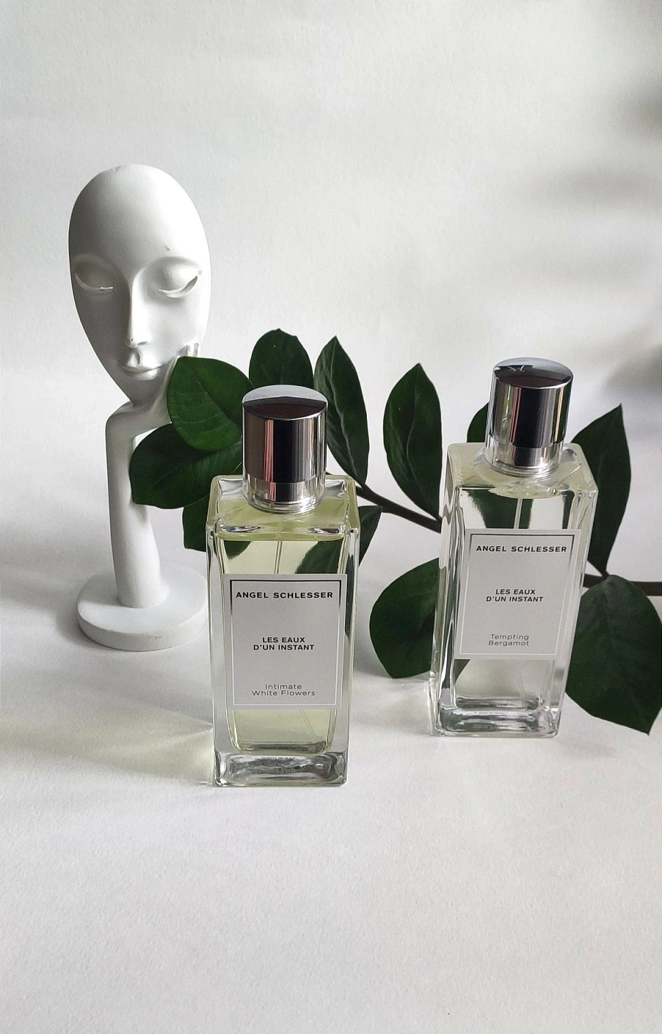 Angel Schlesser Tempting Bergamot