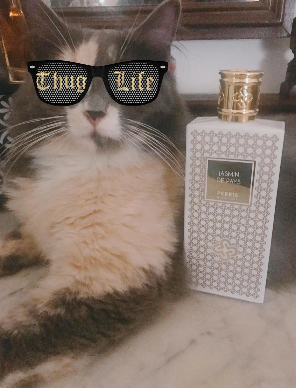 Perris Monte Carlo Jasmin De Pays