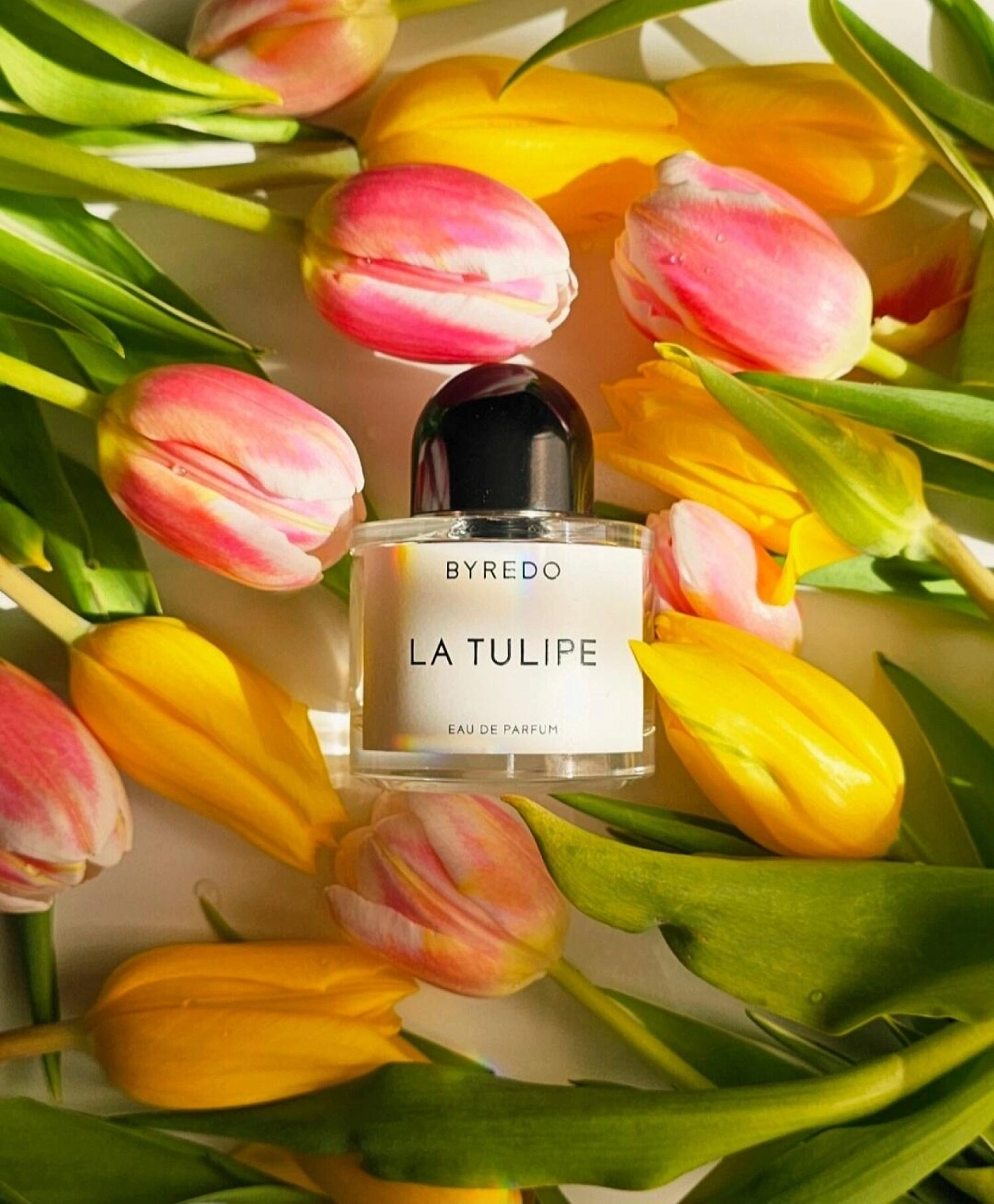 BYREDO La Tulipe