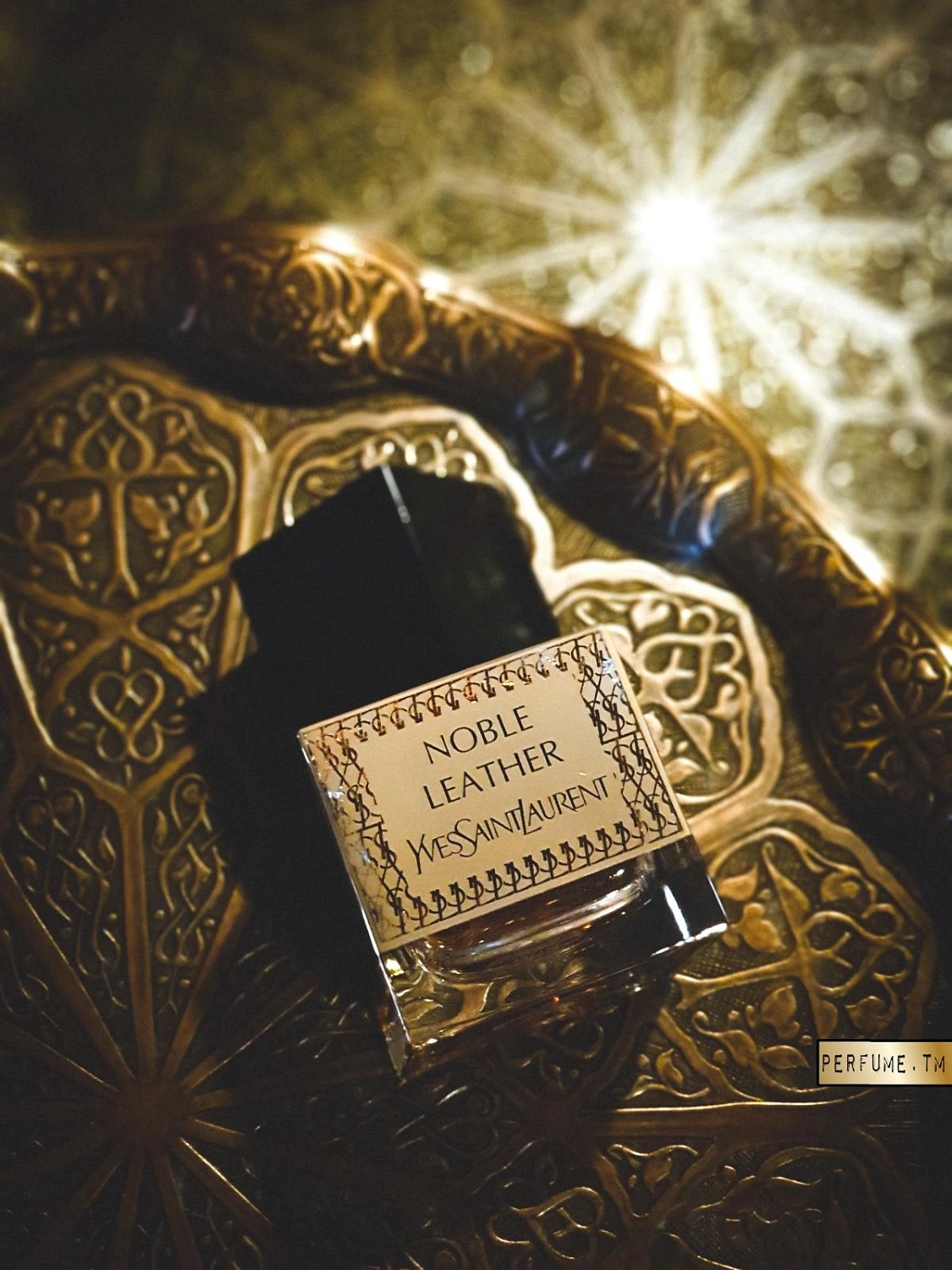 Yves Saint Laurent Noble Leather