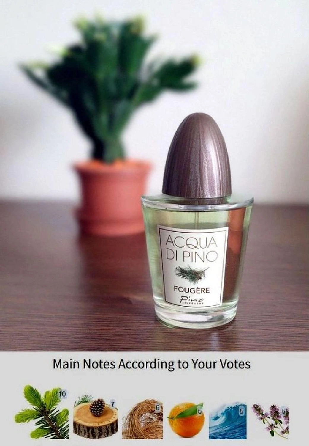 Pino Silvestre Acqua di Pino Fougere