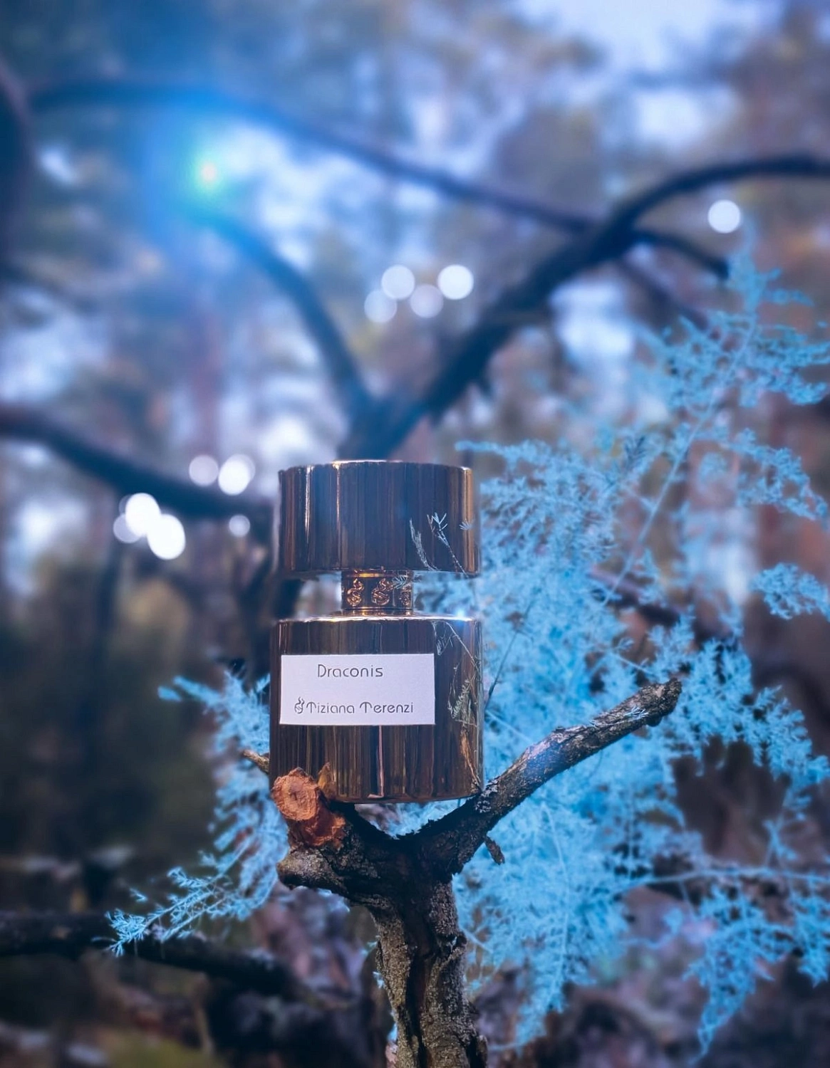 Tiziana Terenzi Draconis