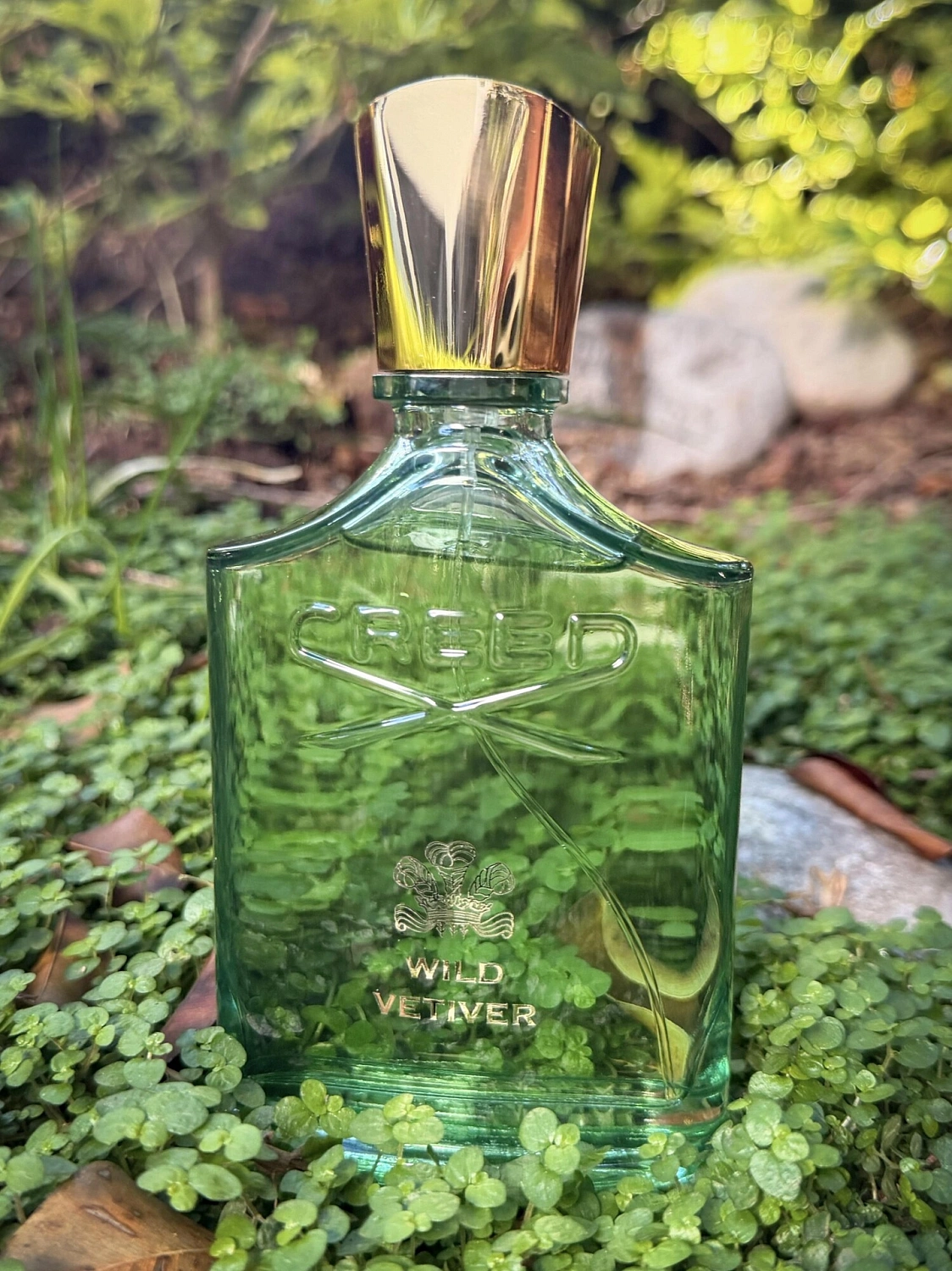 Creed Wild Vetiver