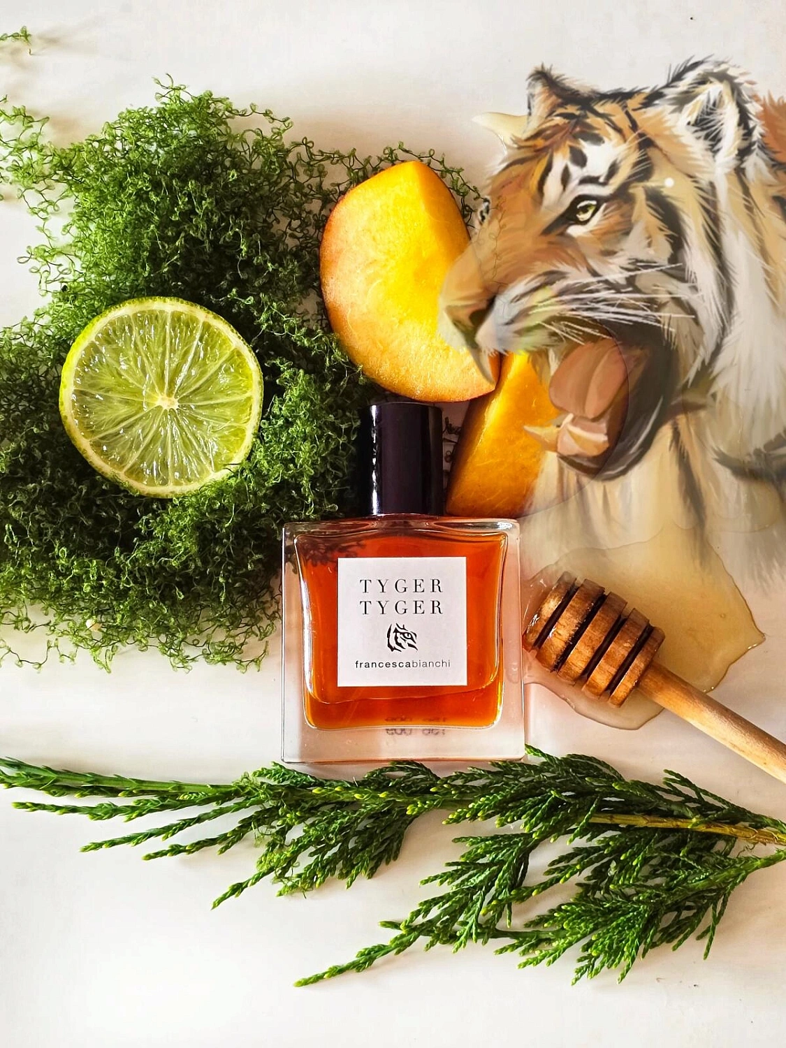 Francesca Bianchi Tyger Tyger Francesca Bianchi Tyger Tyger