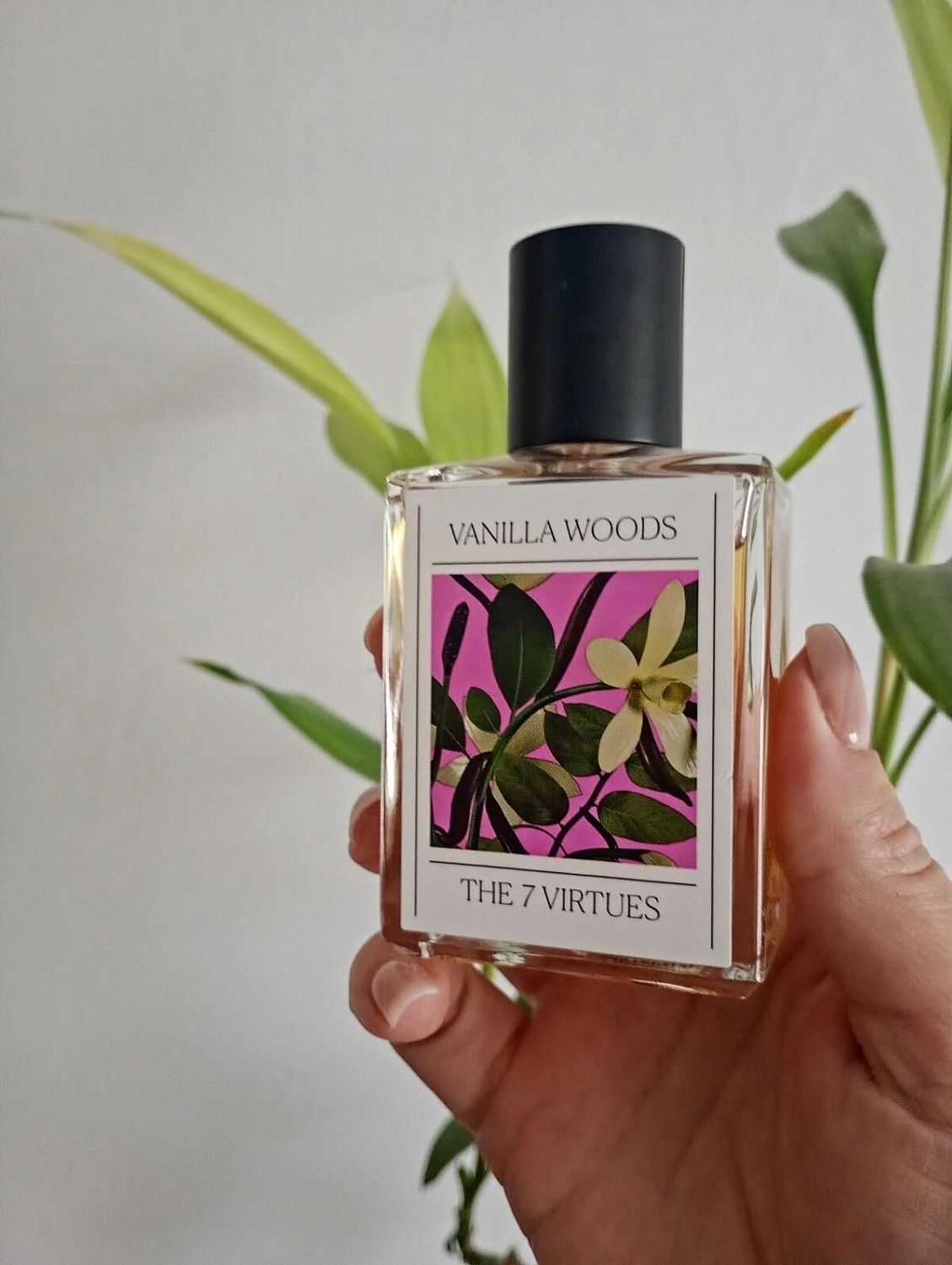 The 7 Virtues Vanilla Woods
