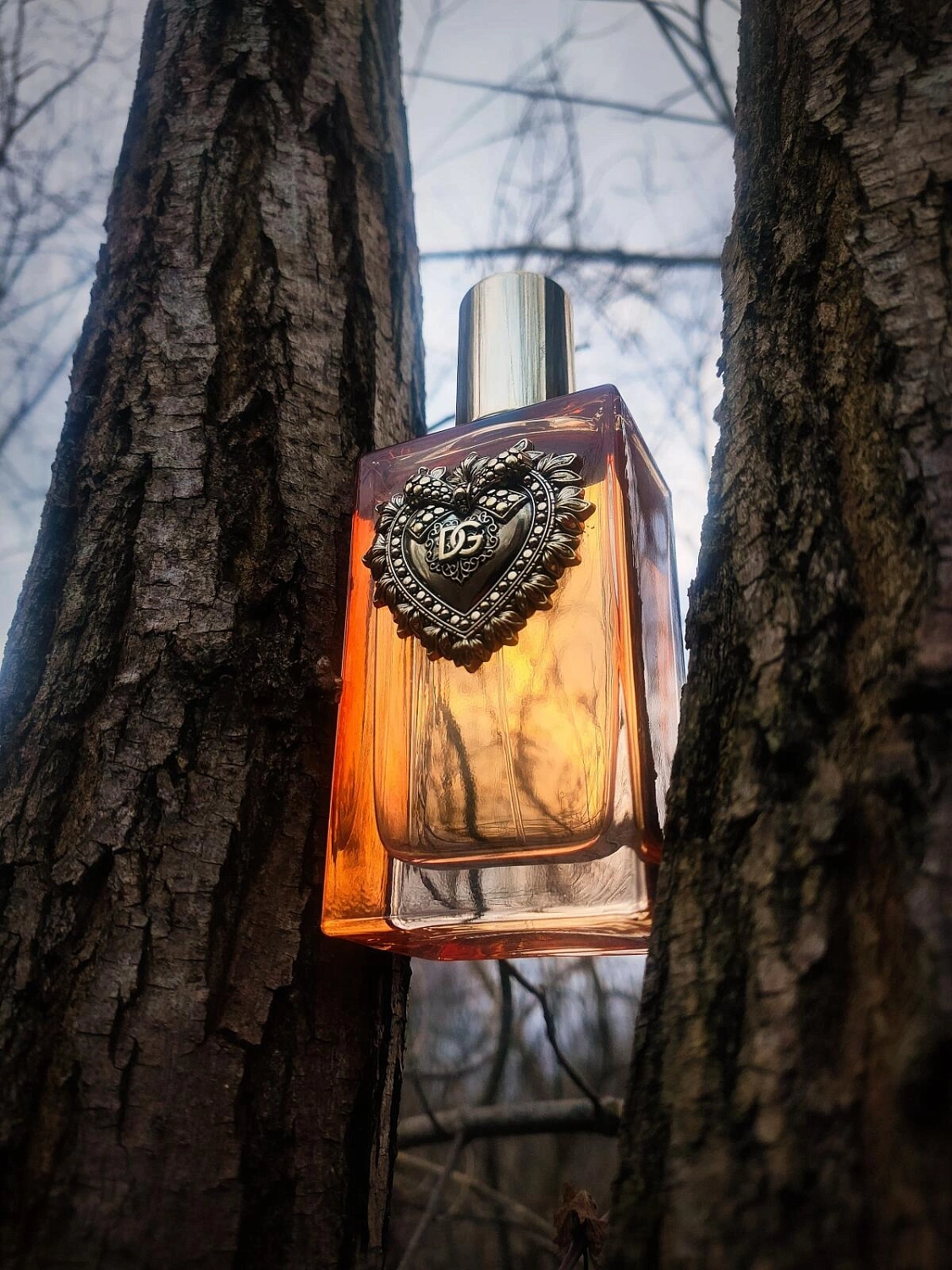 DOLCE & GABBANA Devotion Intense