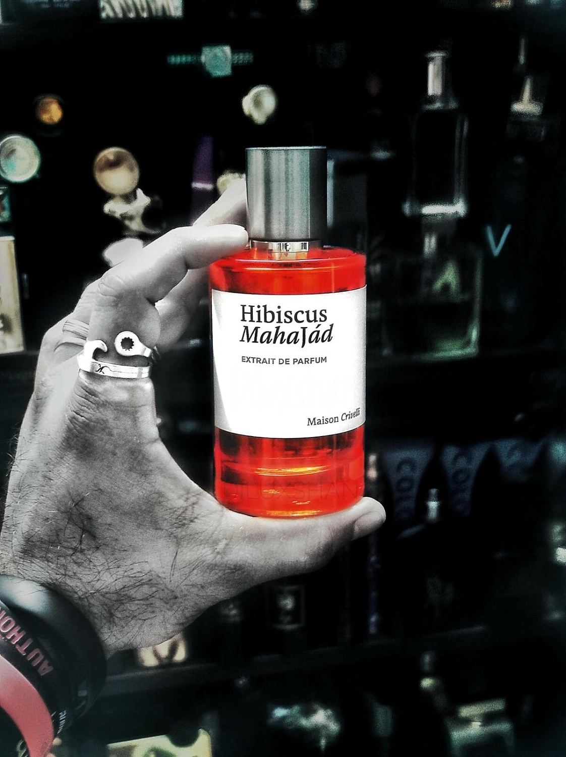 Maison Crivelli Hibiscus MahaJad