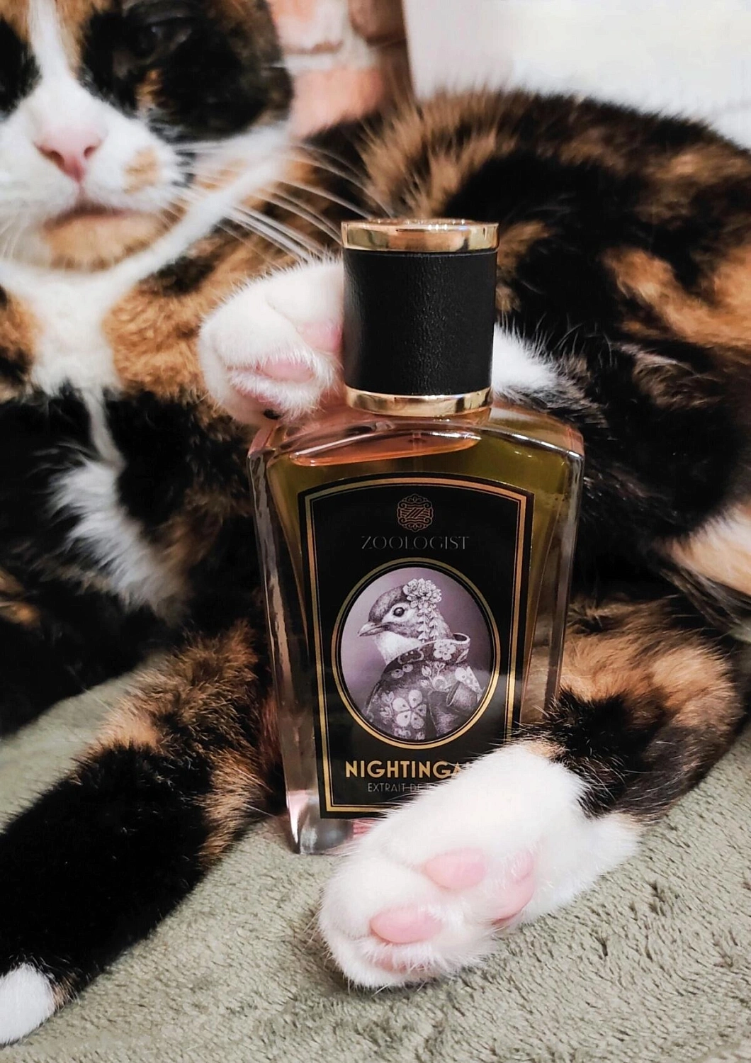 Zoologist Perfumes Nightingale