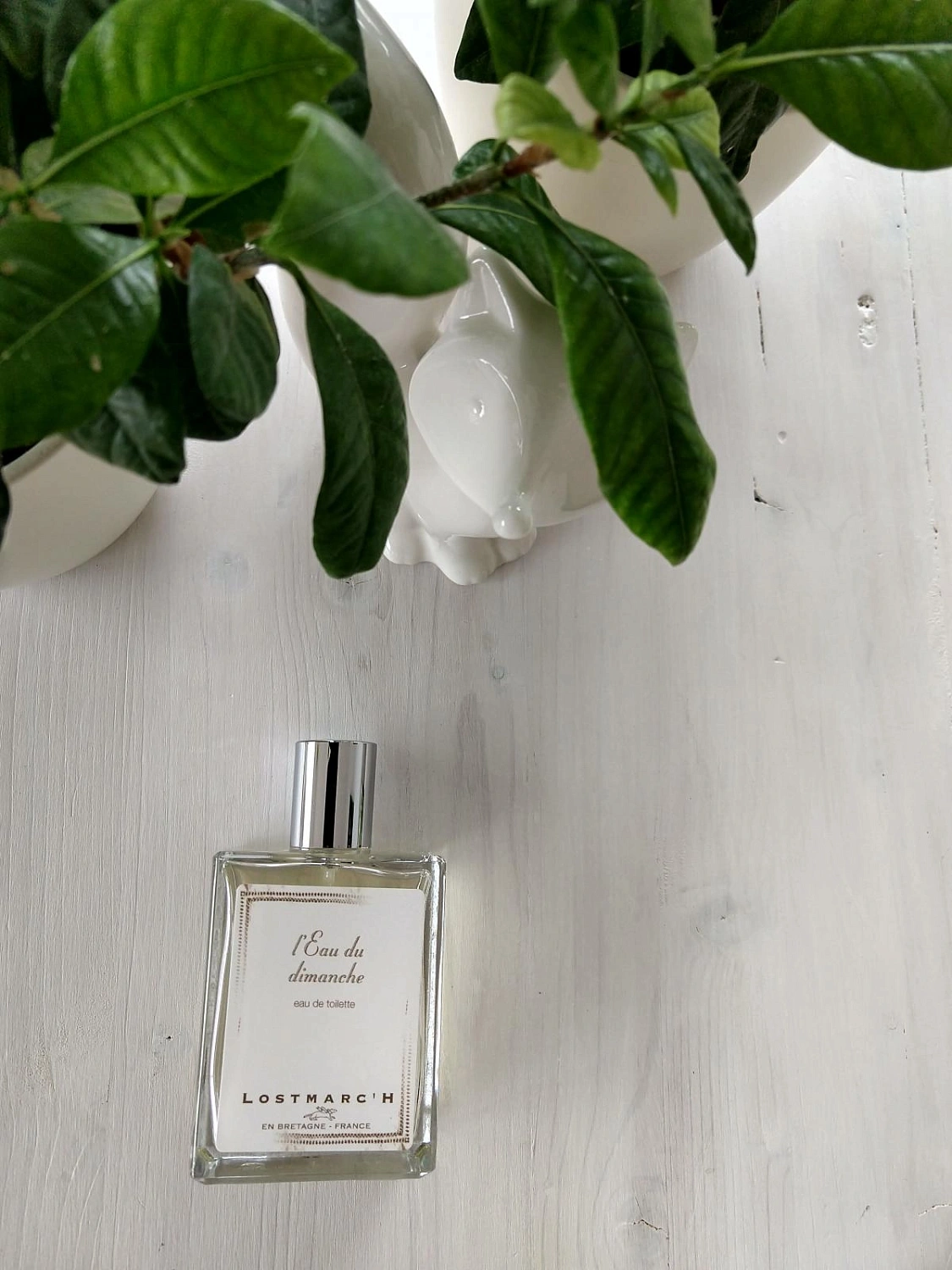 Lostmarch L’Eau du Dimanche Lostmarch L’Eau du Dimanche
