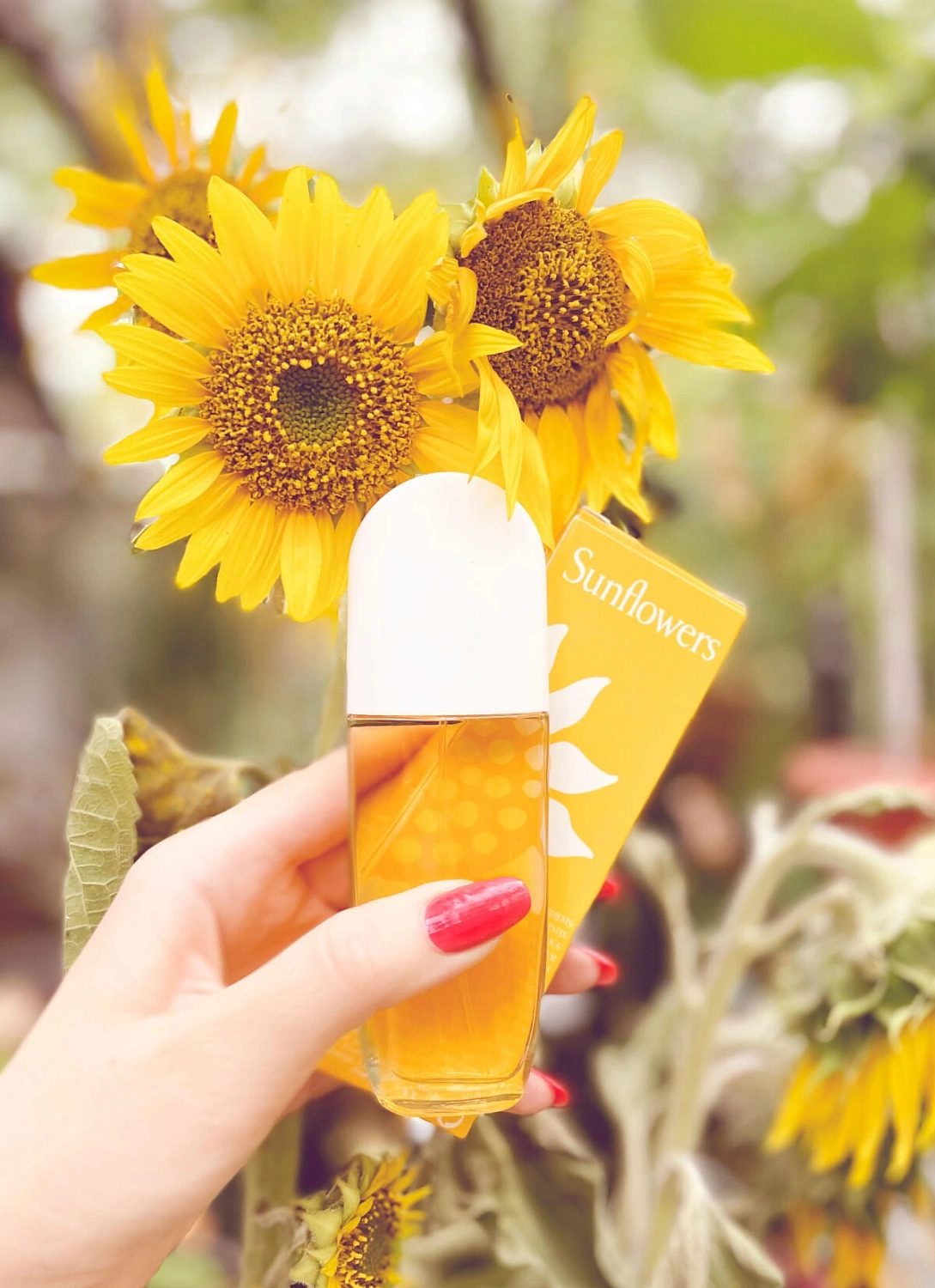 Elizabeth Arden Sunflowers