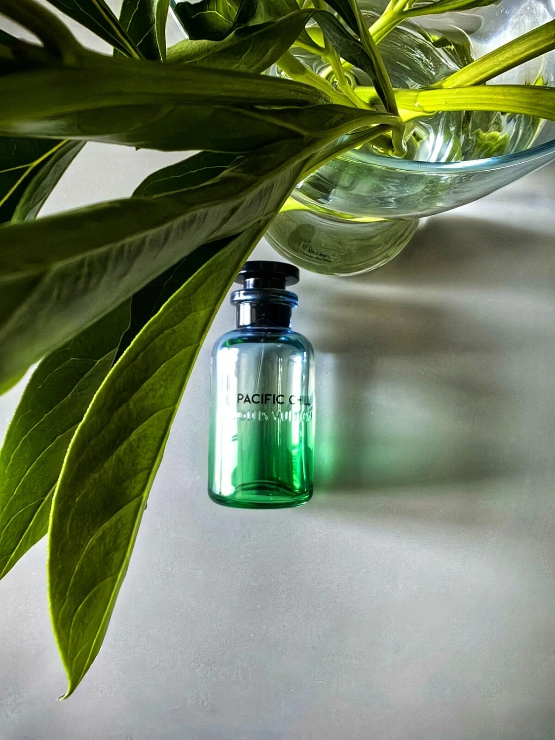 Louis Vuitton Pacific Chill