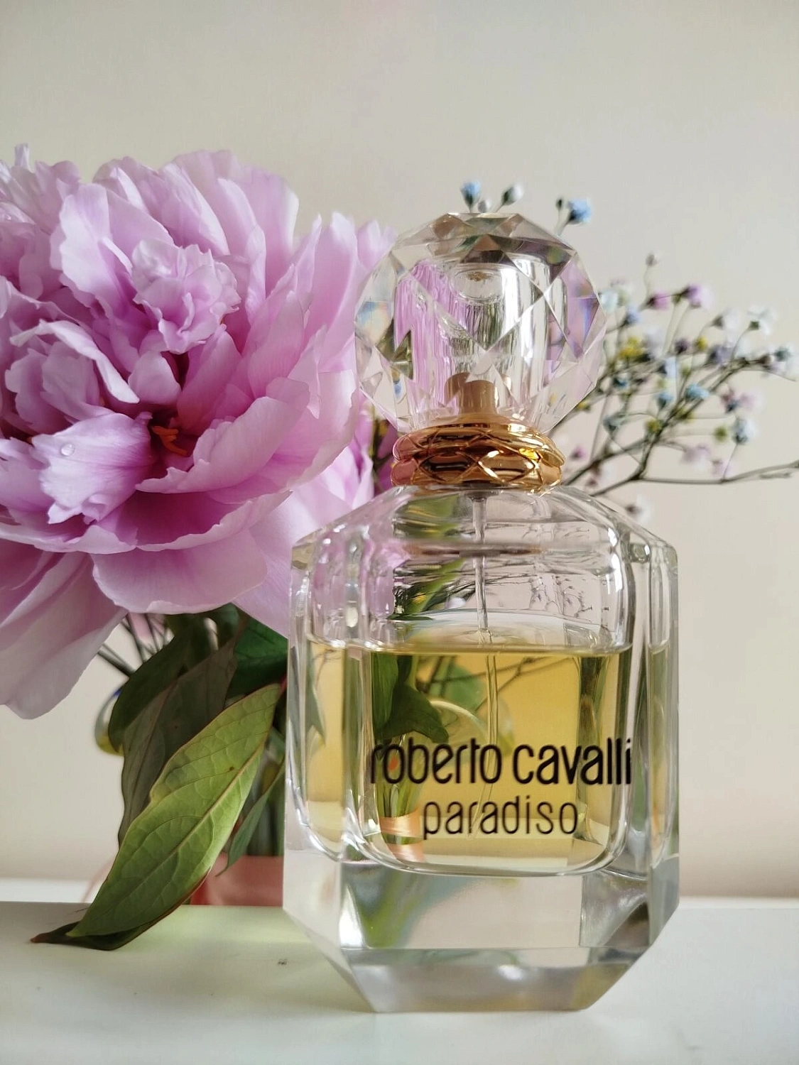Roberto Cavalli Paradiso