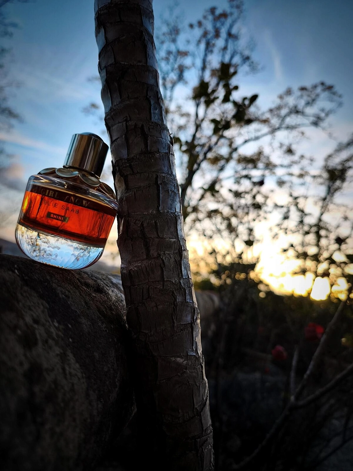 Elie Saab Girl of Now Shine