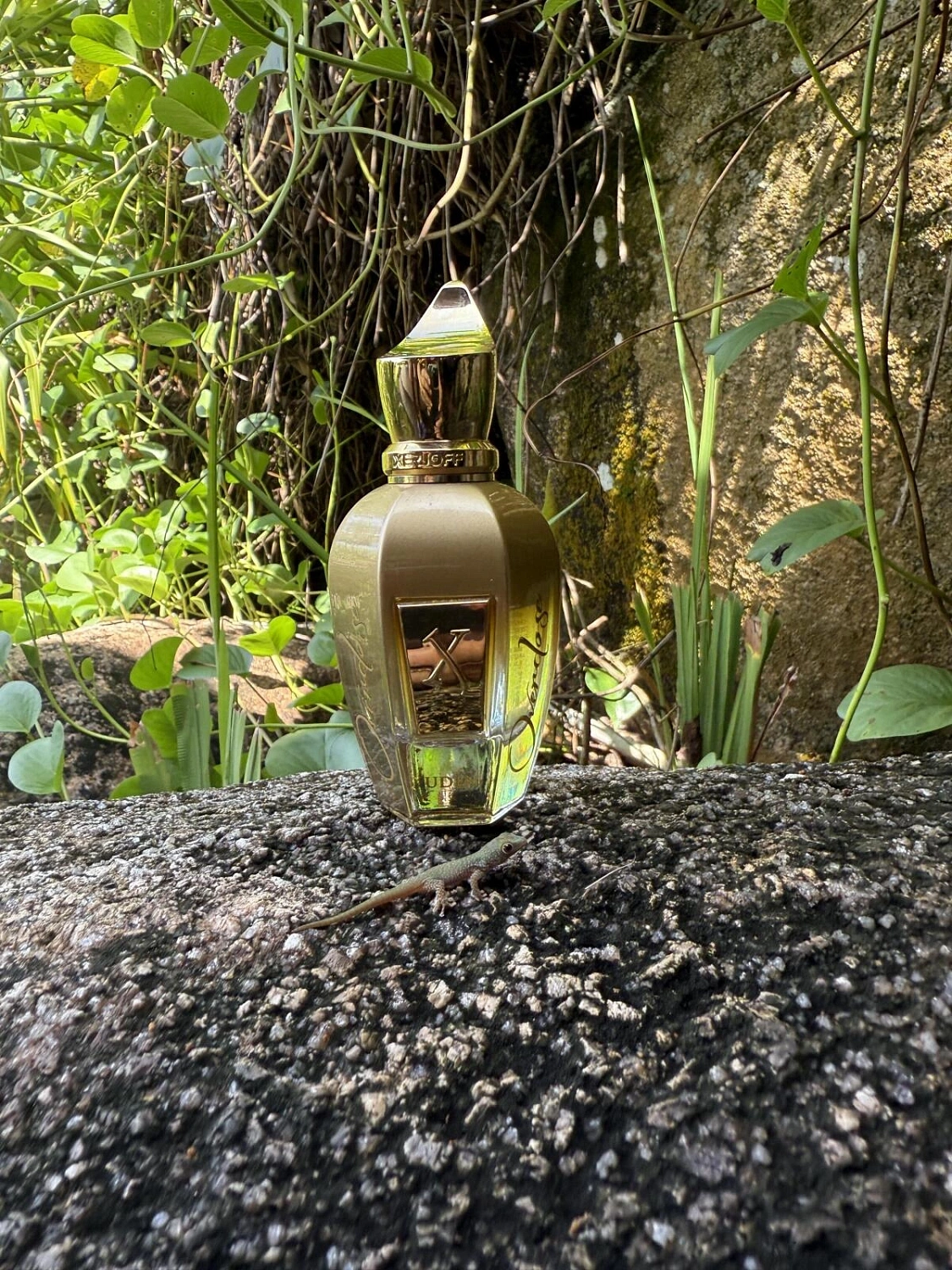 Xerjoff Uden Overdose