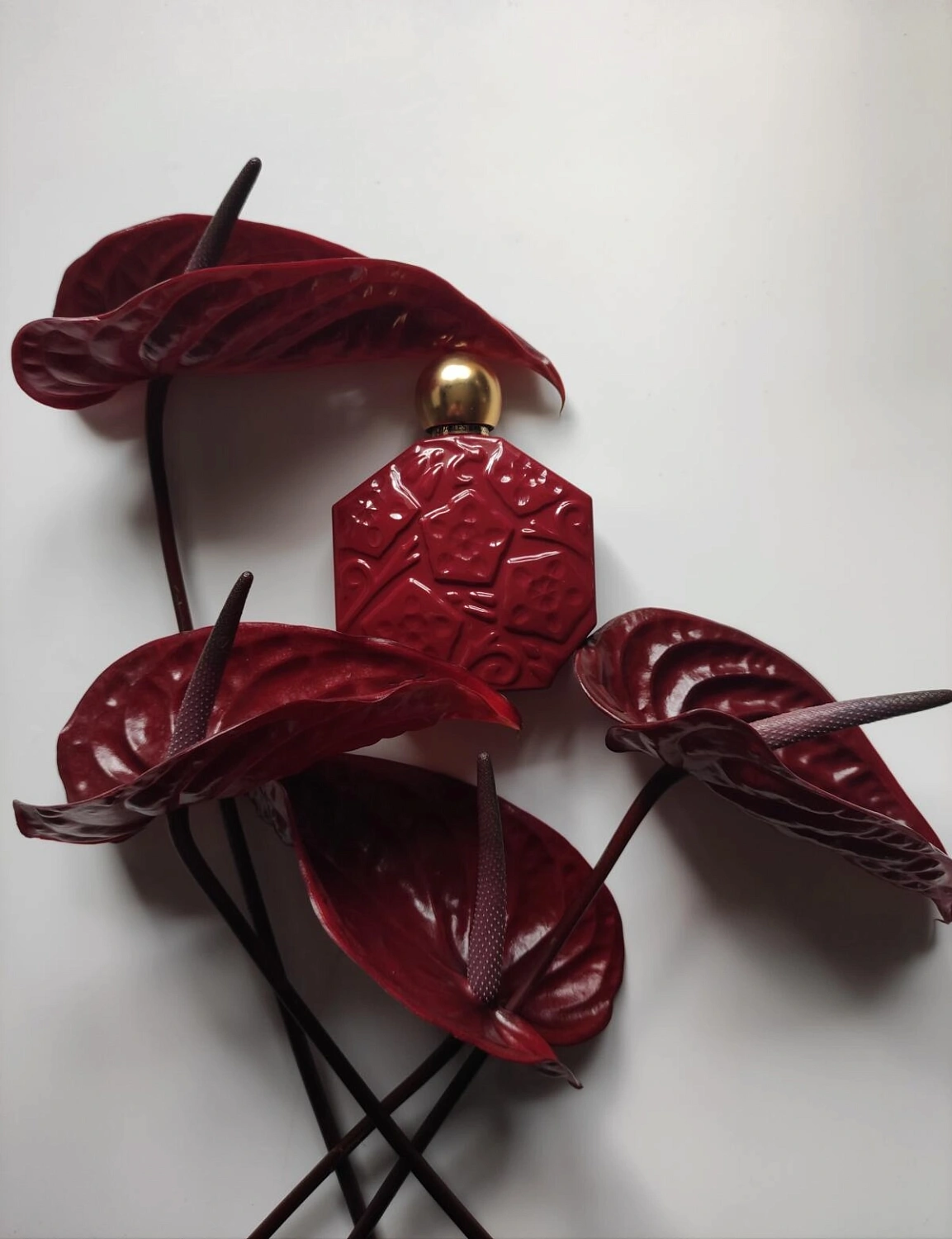 Jean Charles Brosseau Ombre Rubis