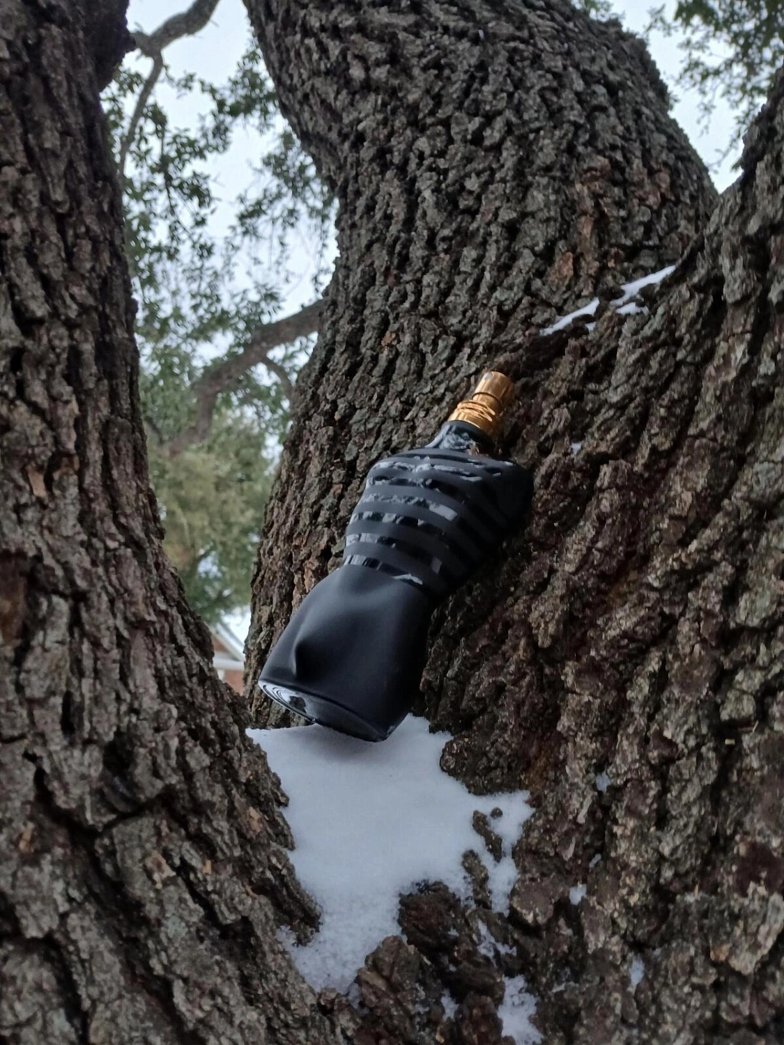Jean Paul Gaultier Le Male Le Parfum