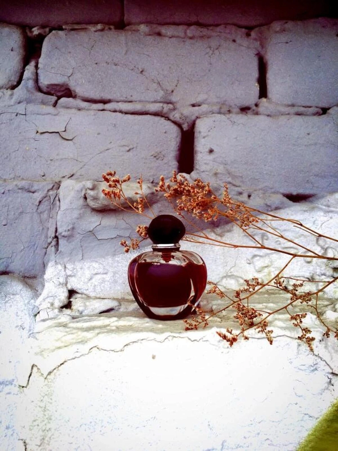 Christian Dior Poison Girl