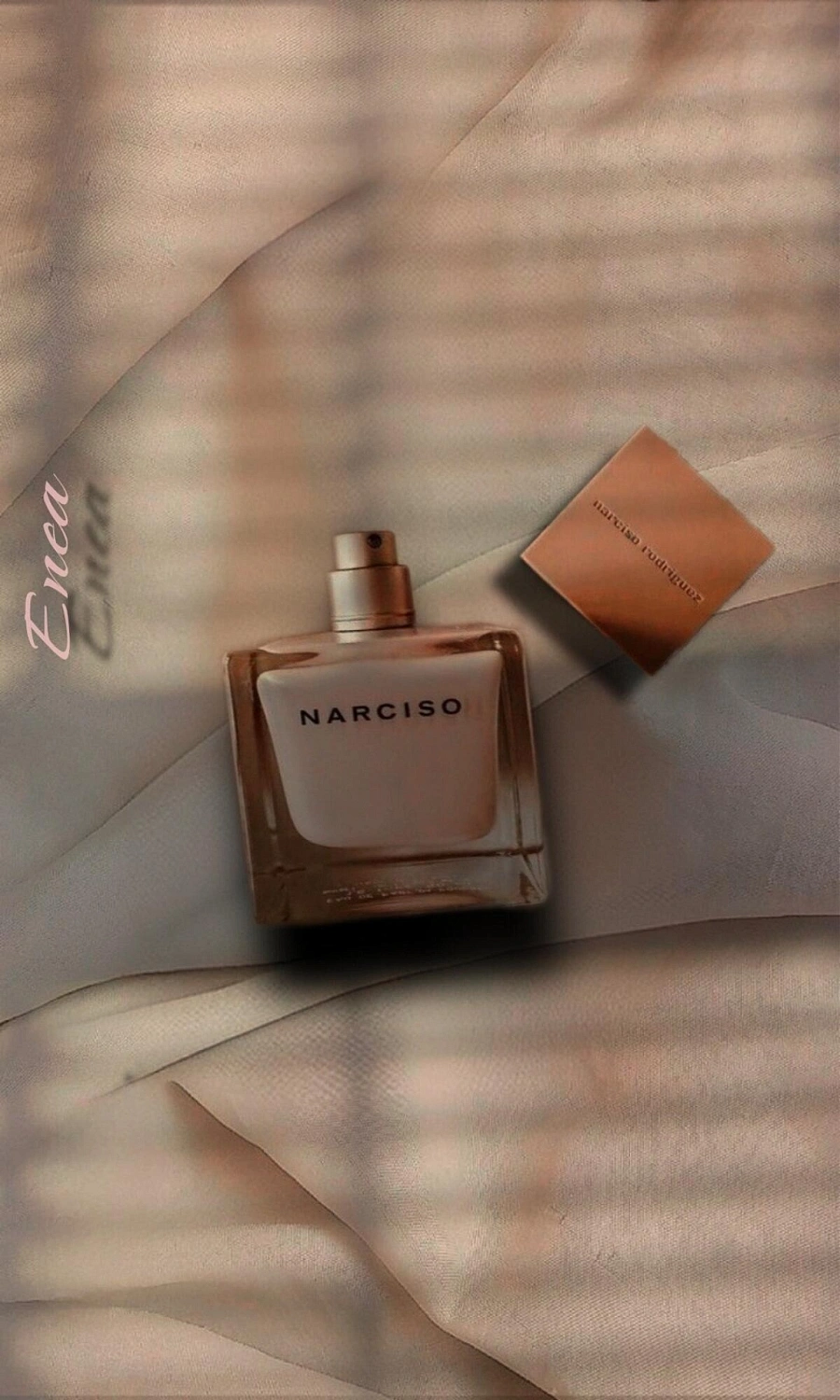 Narciso Rodriguez Narciso Poudree