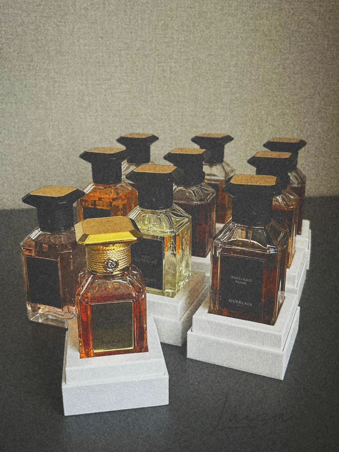 Guerlain Iris Torrefie