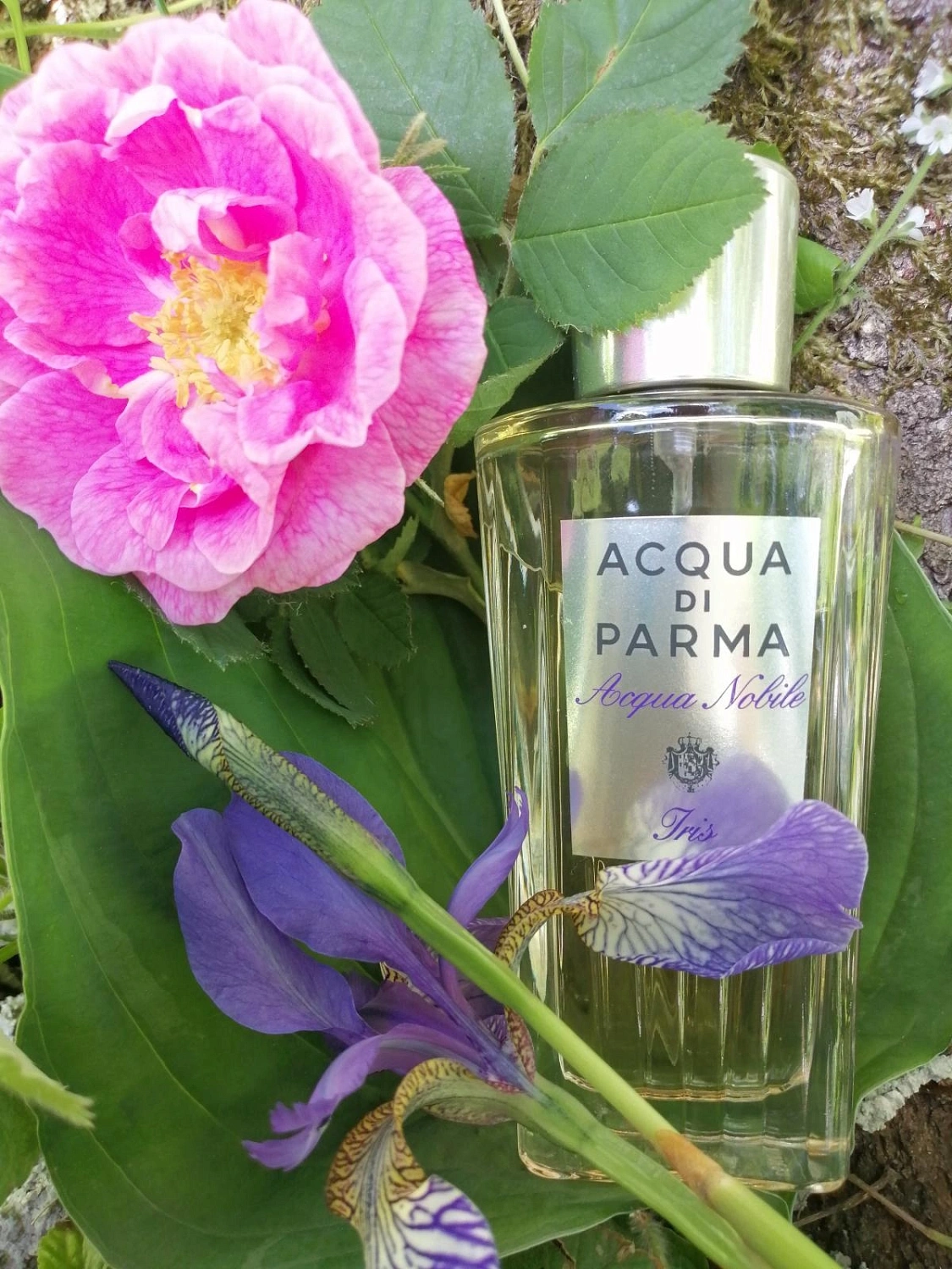 Acqua di Parma Acqua Nobile Iris Acqua di Parma Acqua Nobile Iris
