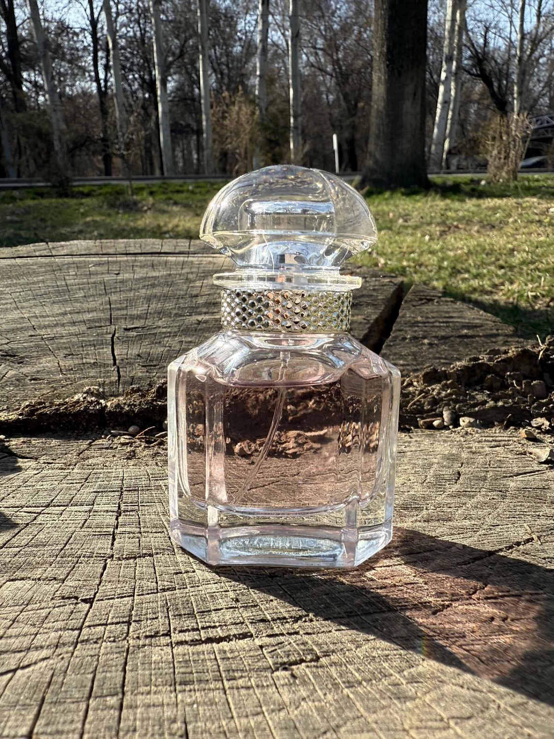 Q by Dolce & Gabbana Eau de Parfum Intense