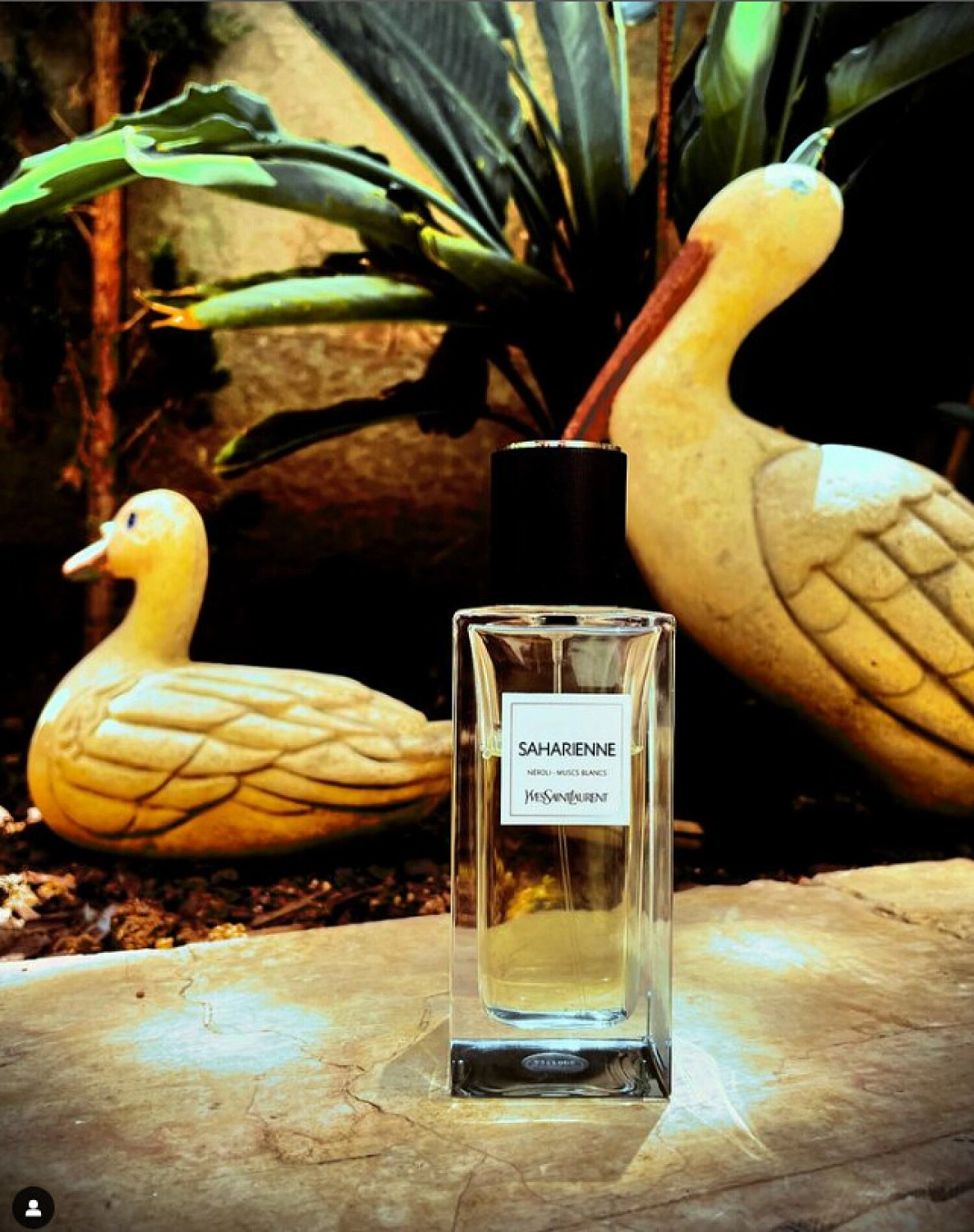 Yves Saint Laurent Saharienne 2015