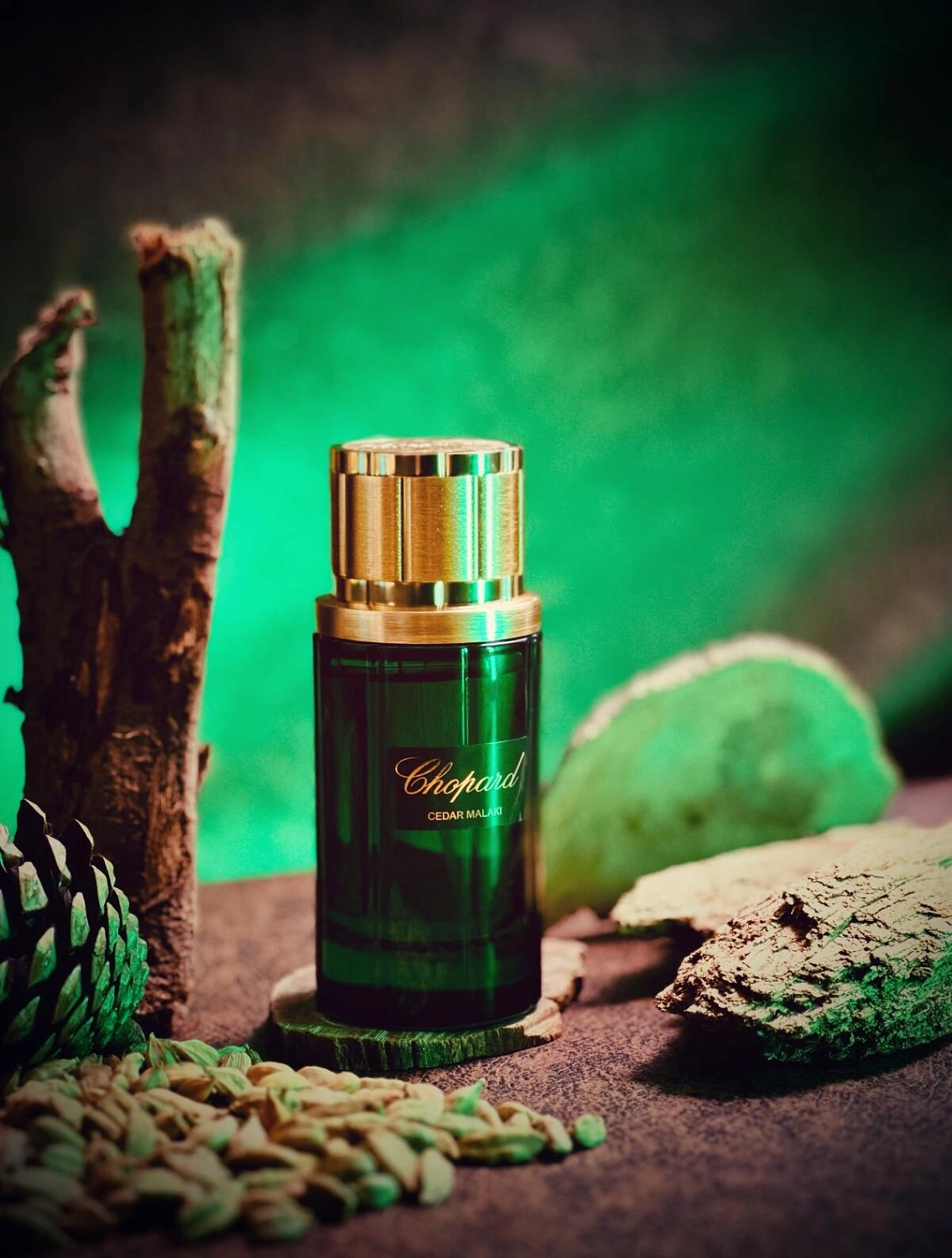 Chopard Cedar Malaki Chopard Cedar Malaki