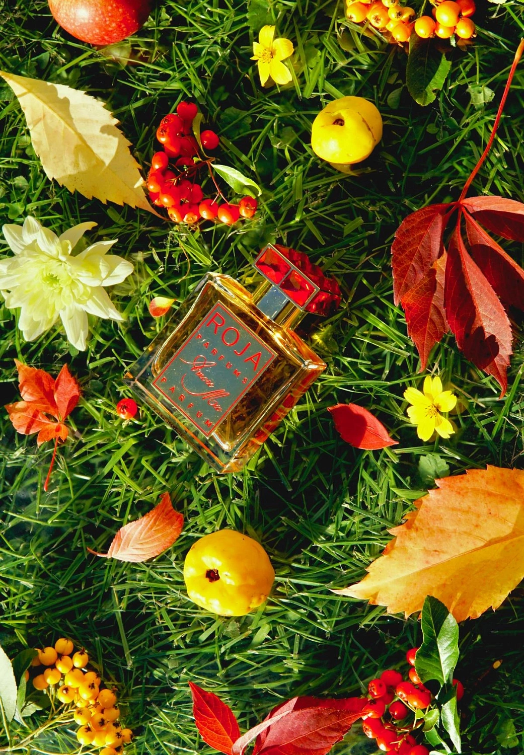 Roja Parfums Amore Mio Roja Parfums Amore Mio