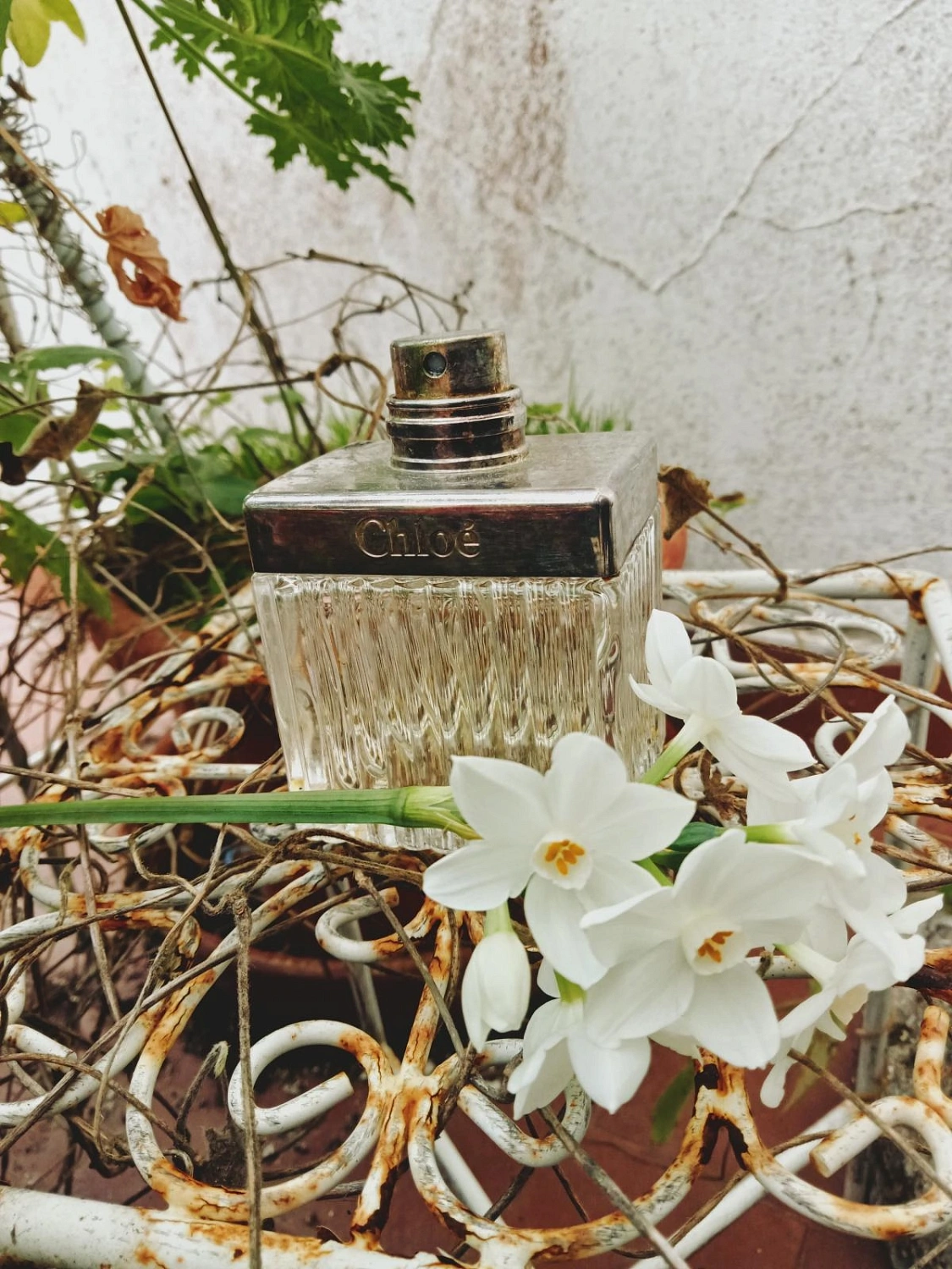 Chloe Eau de Parfum Intense