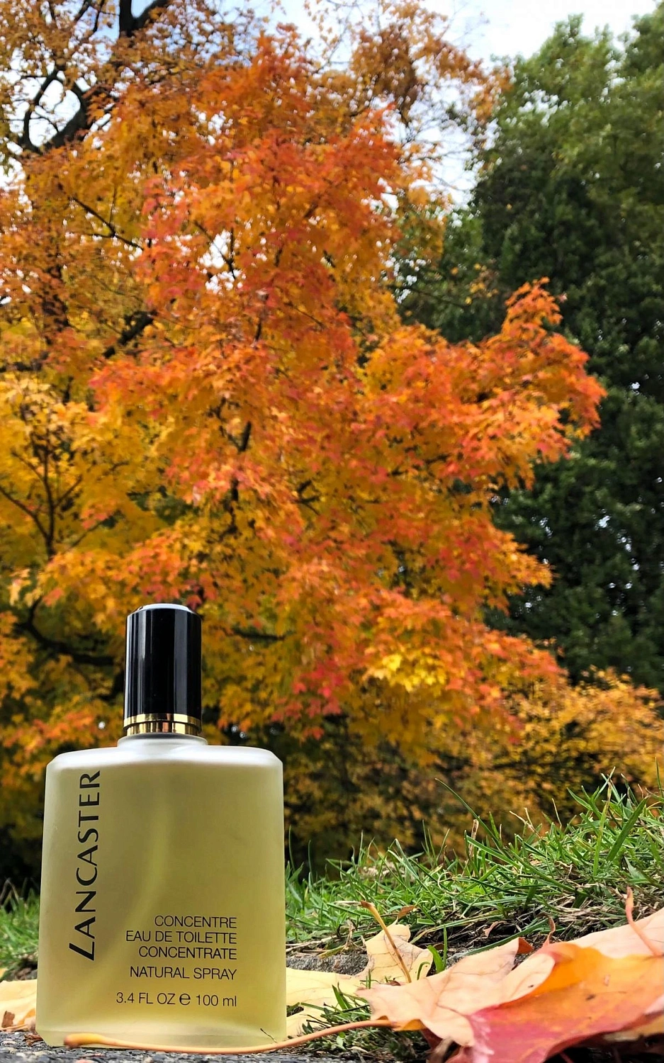 Lancaster Eau de Concentree