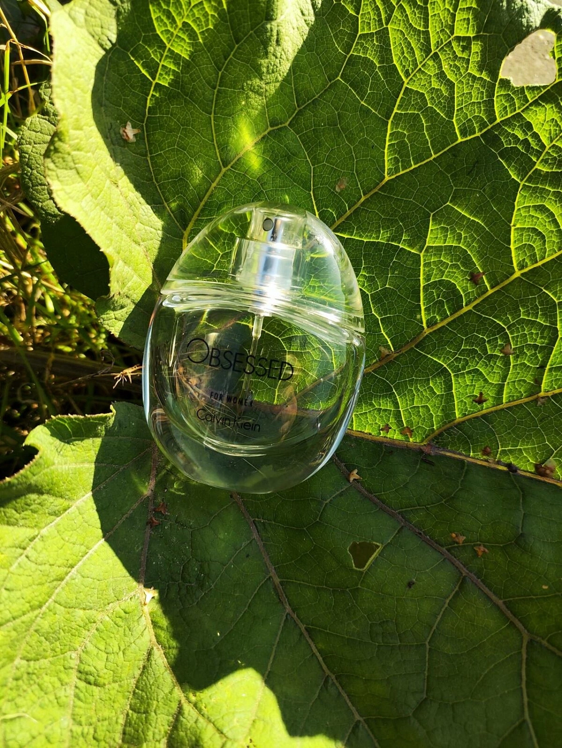 CALVIN KLEIN Obsessed for Women