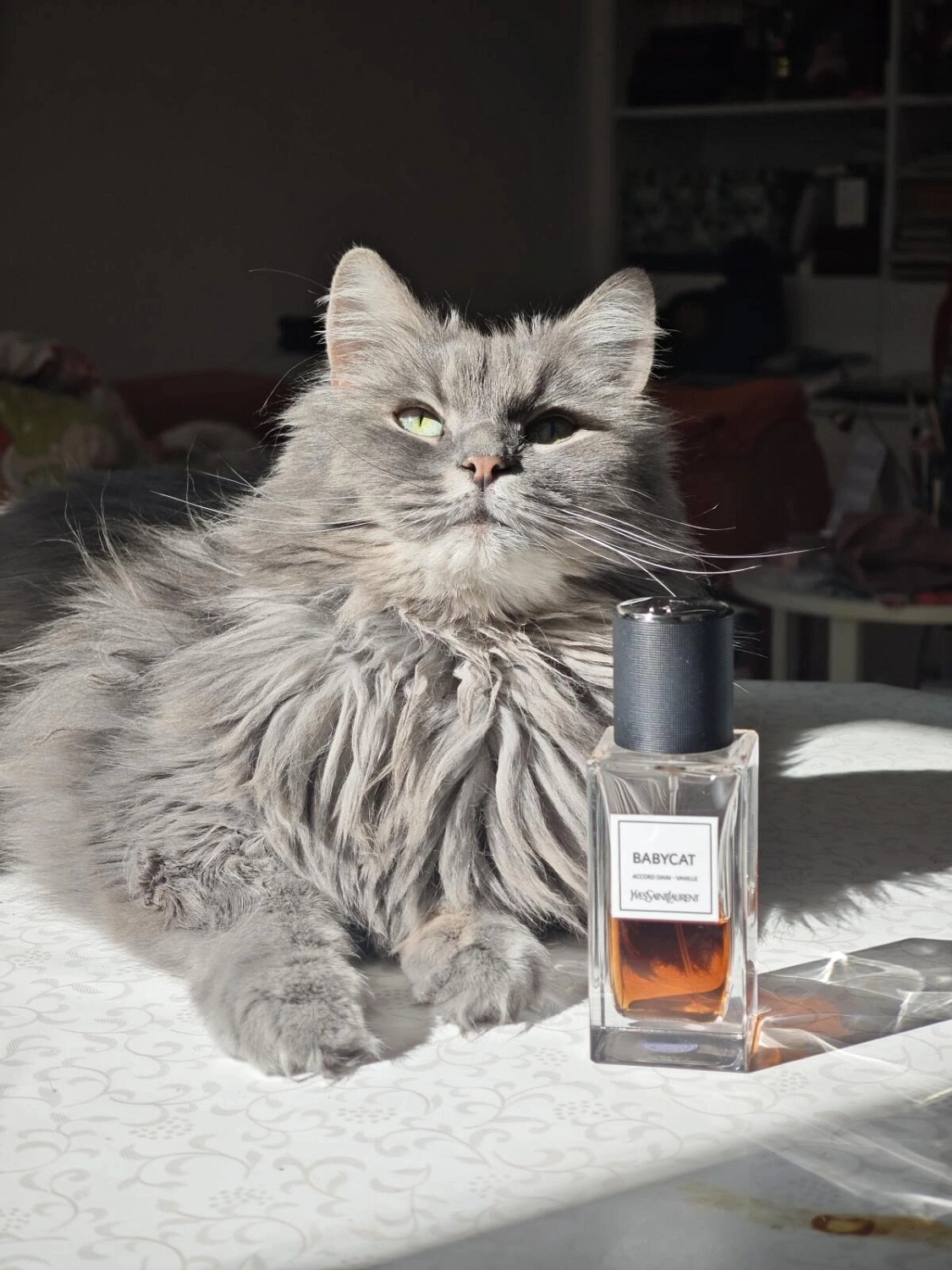 Yves Saint Laurent Babycat