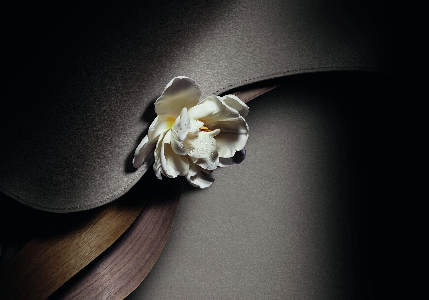 Christian Dior Cuir Saddle