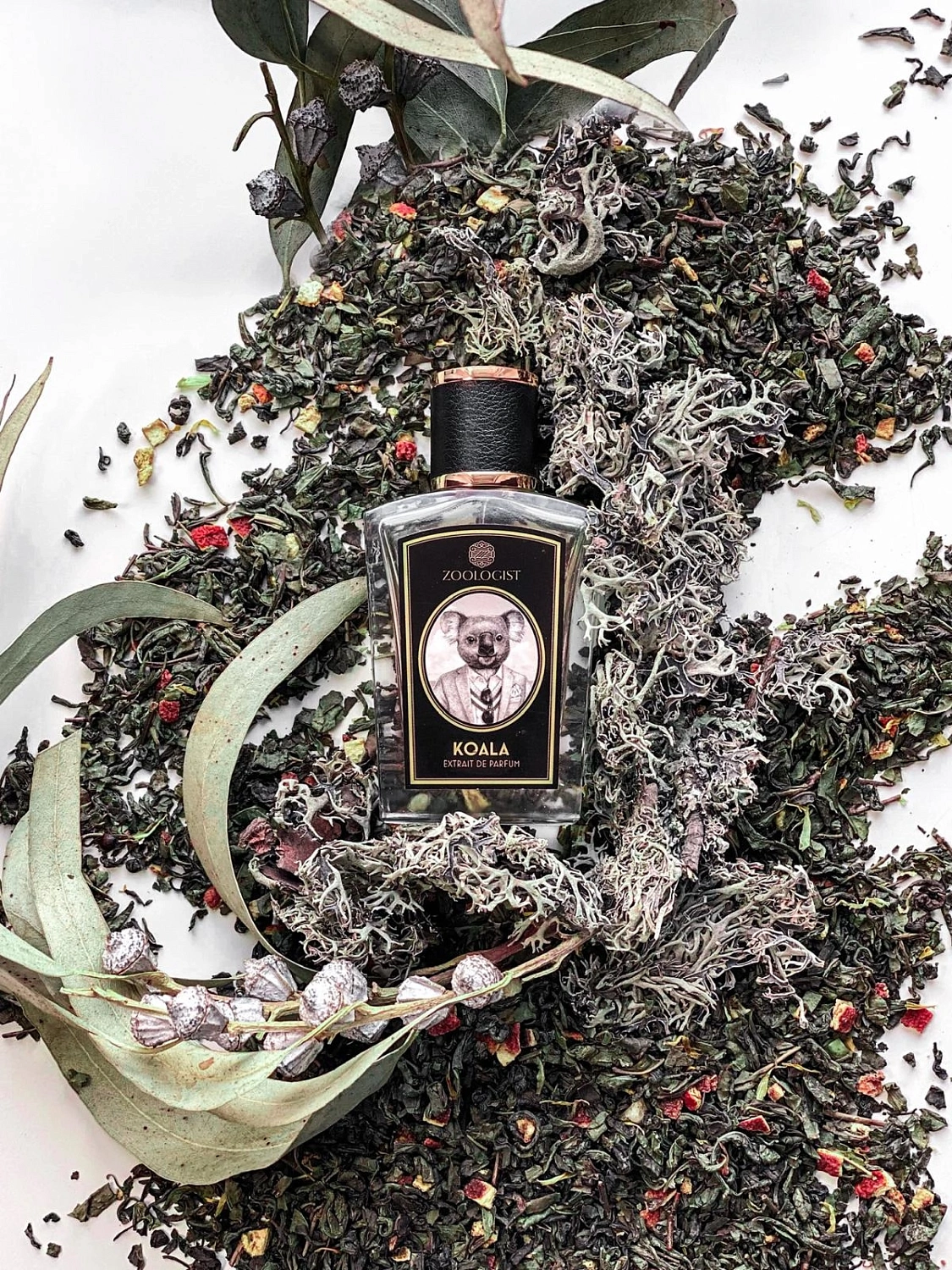 Zoologist Perfumes Koala