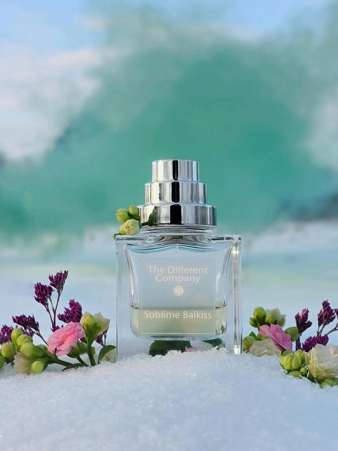 The Different Company Sublime Balkiss