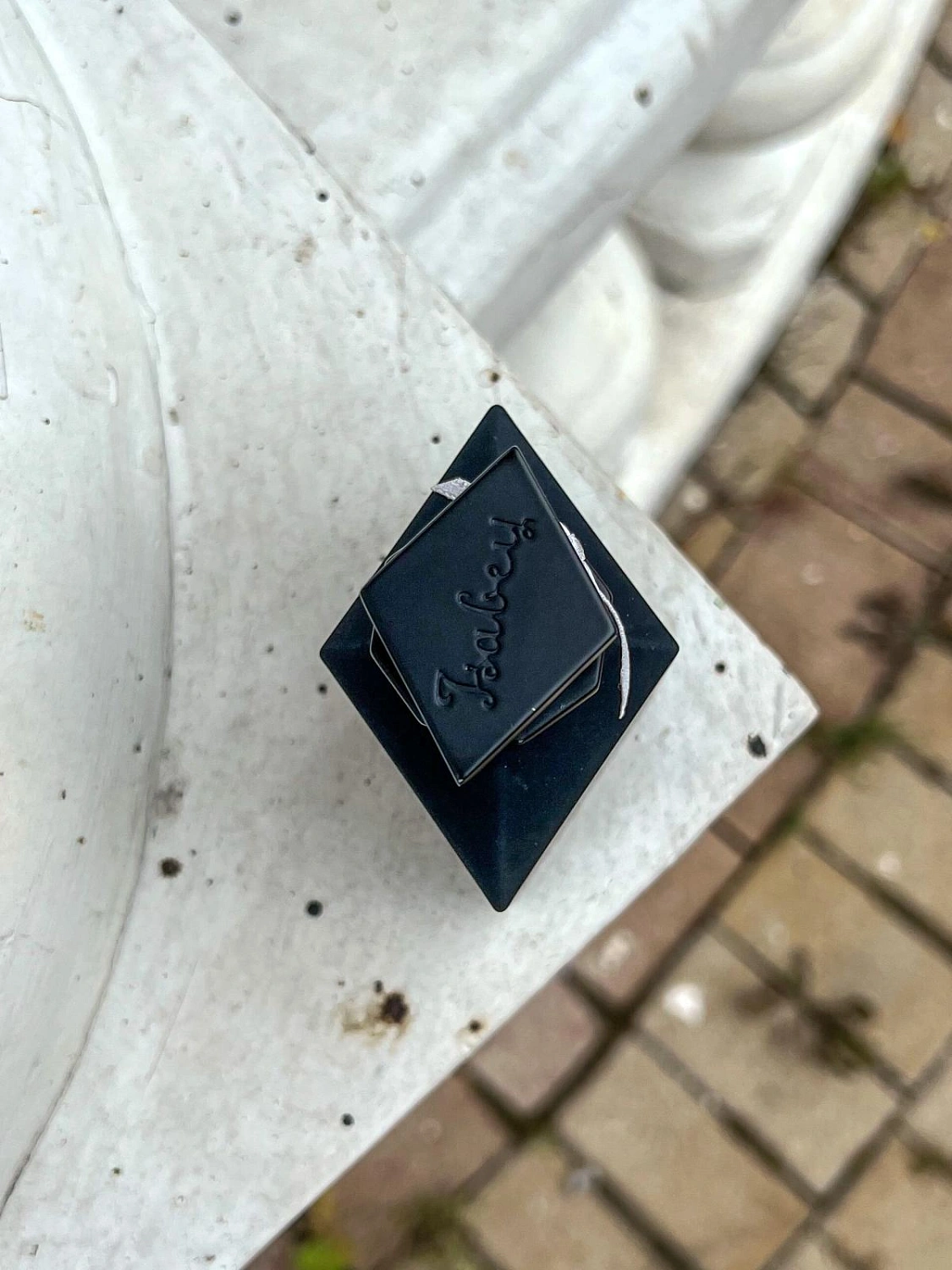 Panouge Isabey Lys Noir