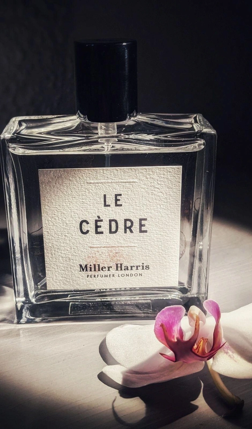 Miller Harris Le Cedre
