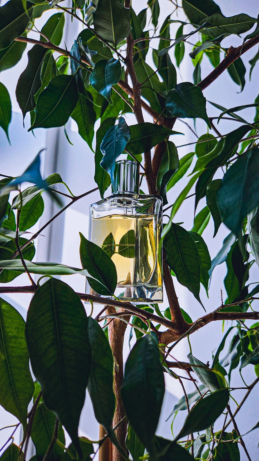 Hermès H24 Eau de Parfum