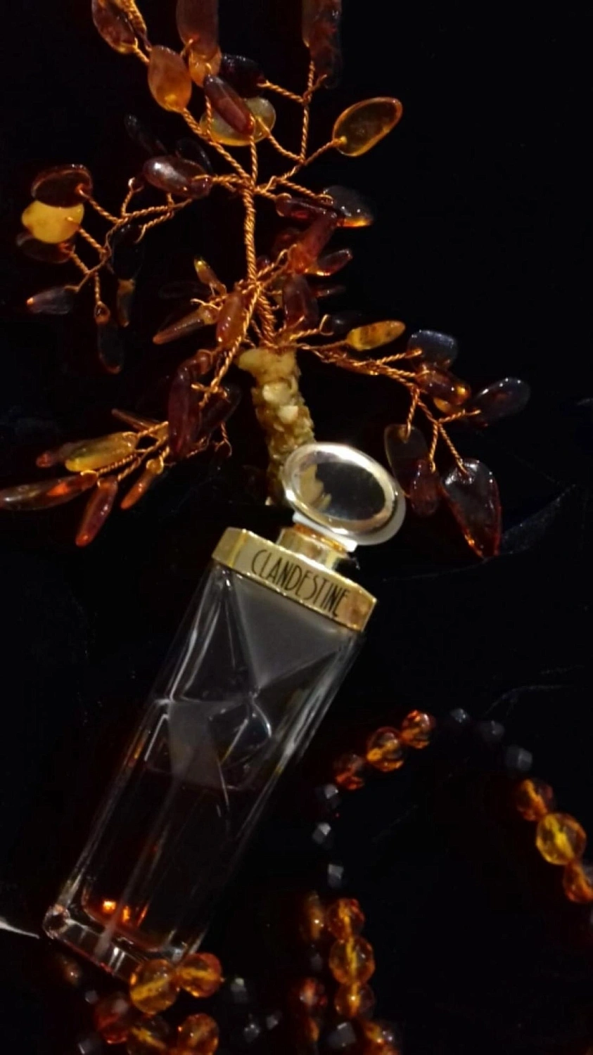 Guy Laroche Clandestine