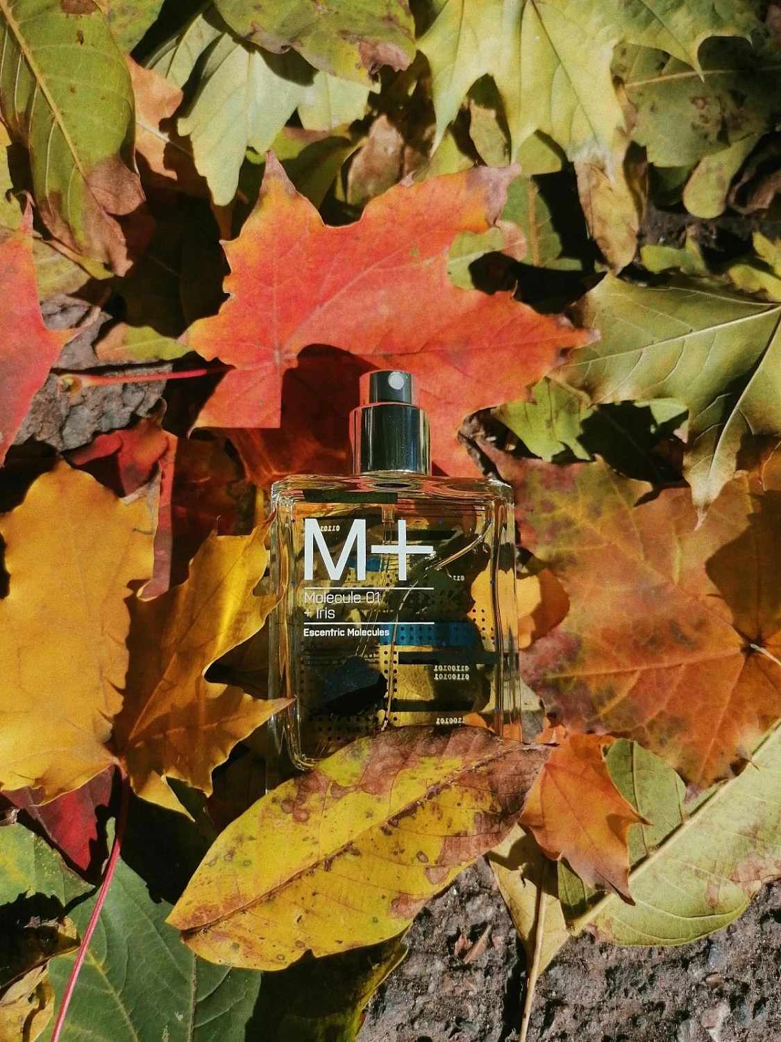 Escentric Molecules Molecules 01 + Iris
